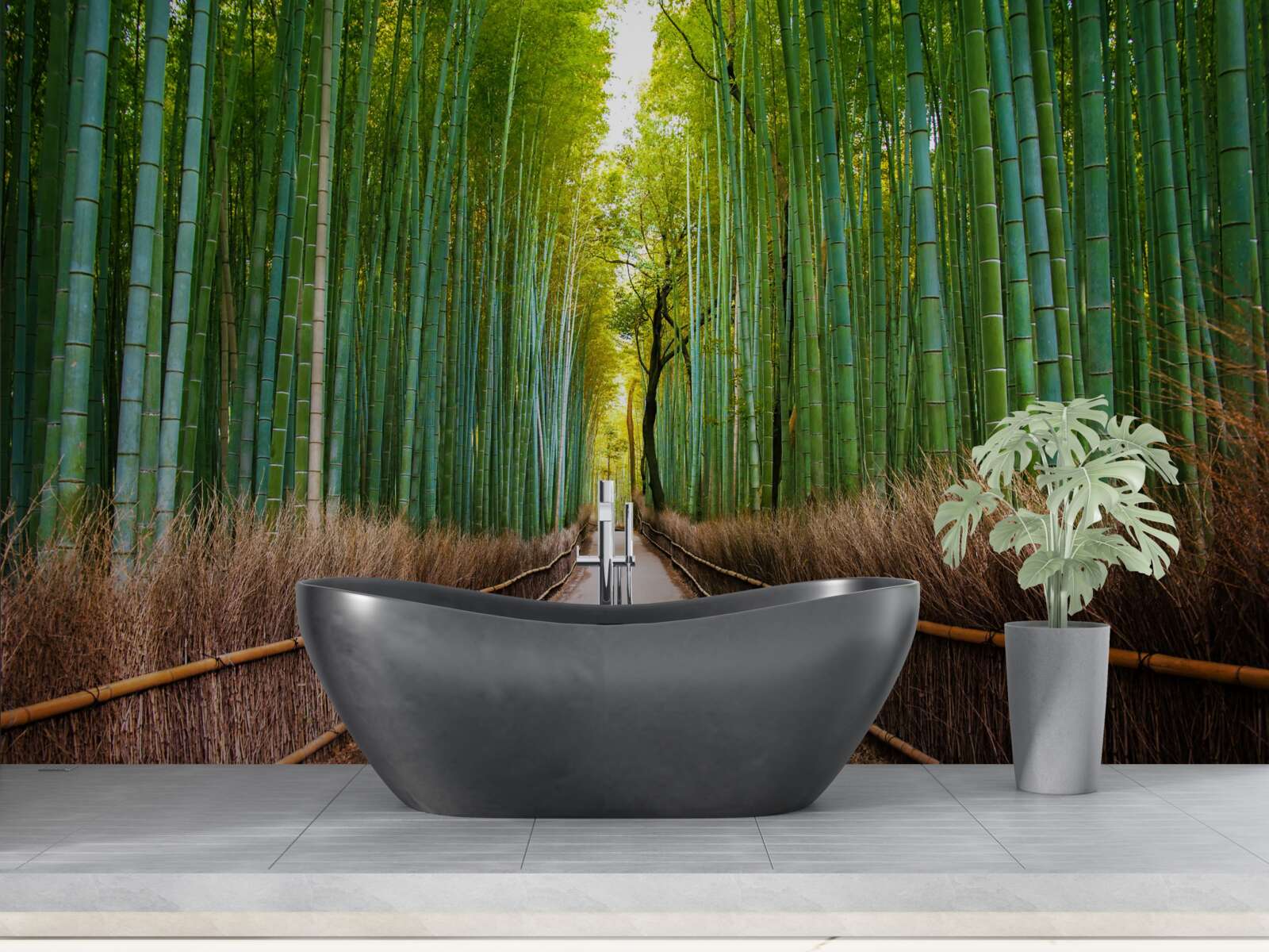 Fototapeta pôvabný bambusový háj s cestičkou