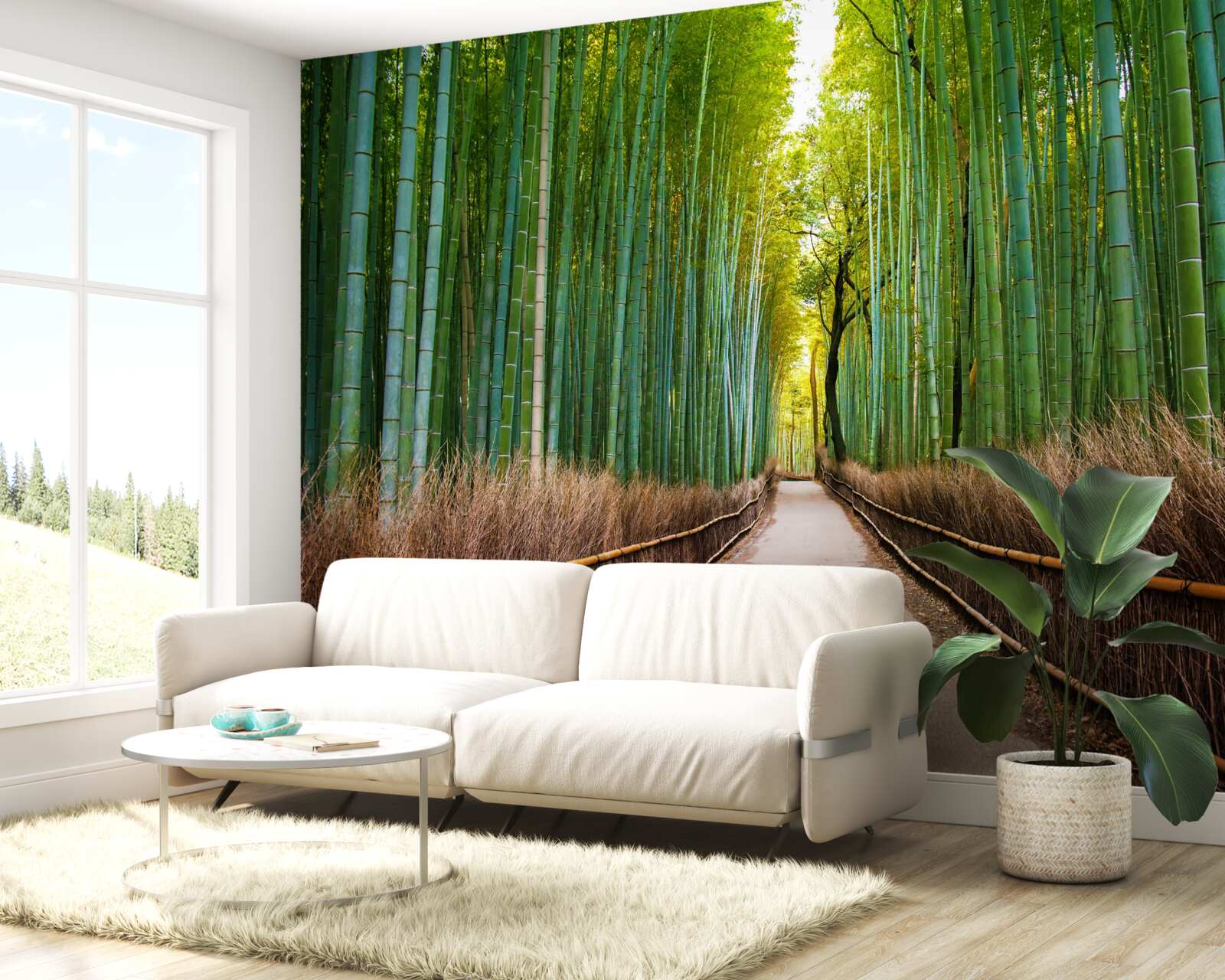 Fototapeta pôvabný bambusový háj s cestičkou