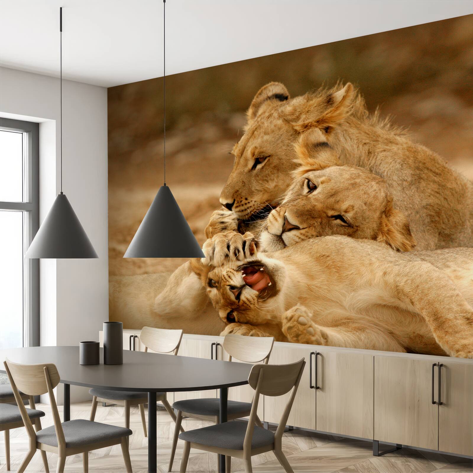 Fototapeta na piesočnatej hladine sa usadila rodinka levov