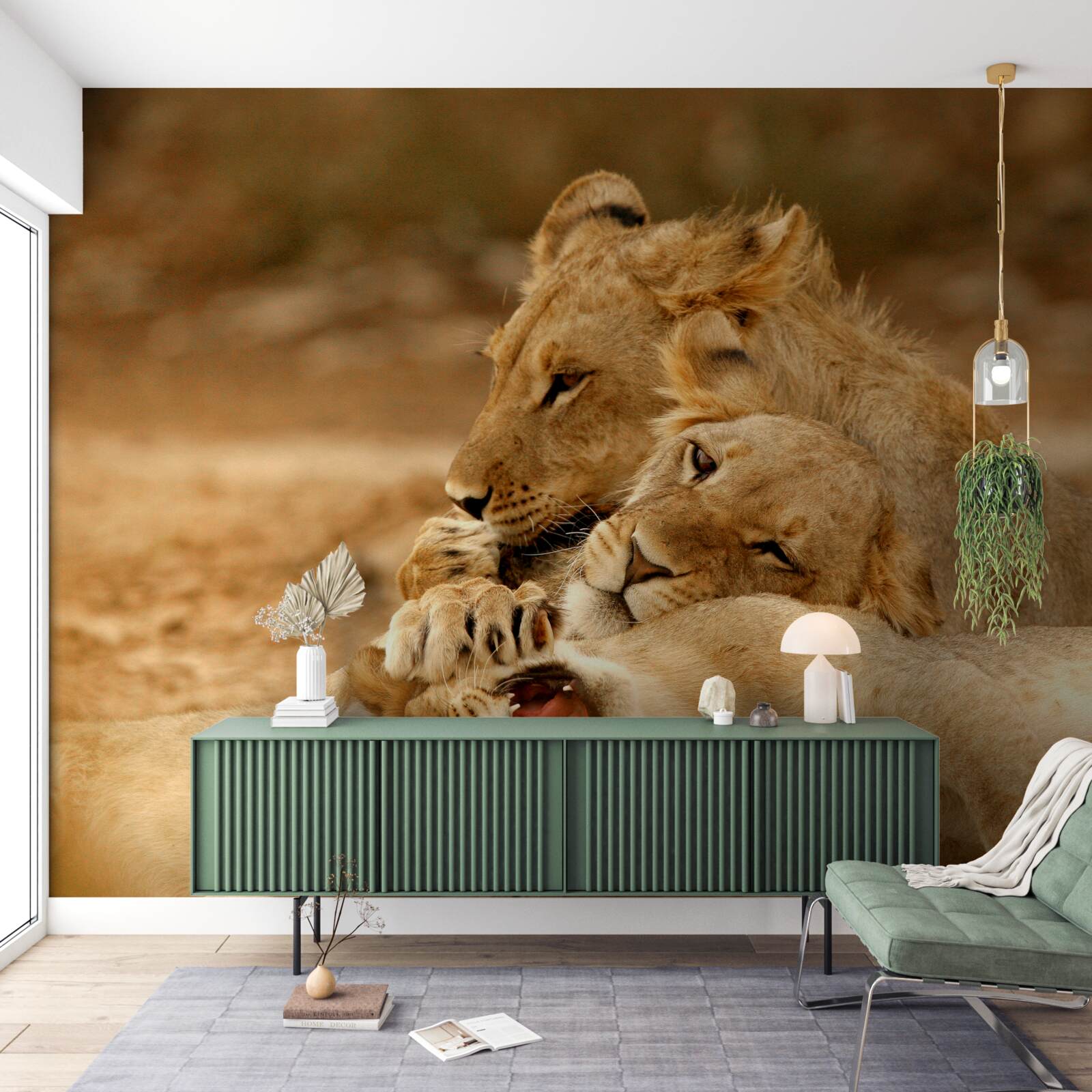 Fototapeta na piesočnatej hladine sa usadila rodinka levov