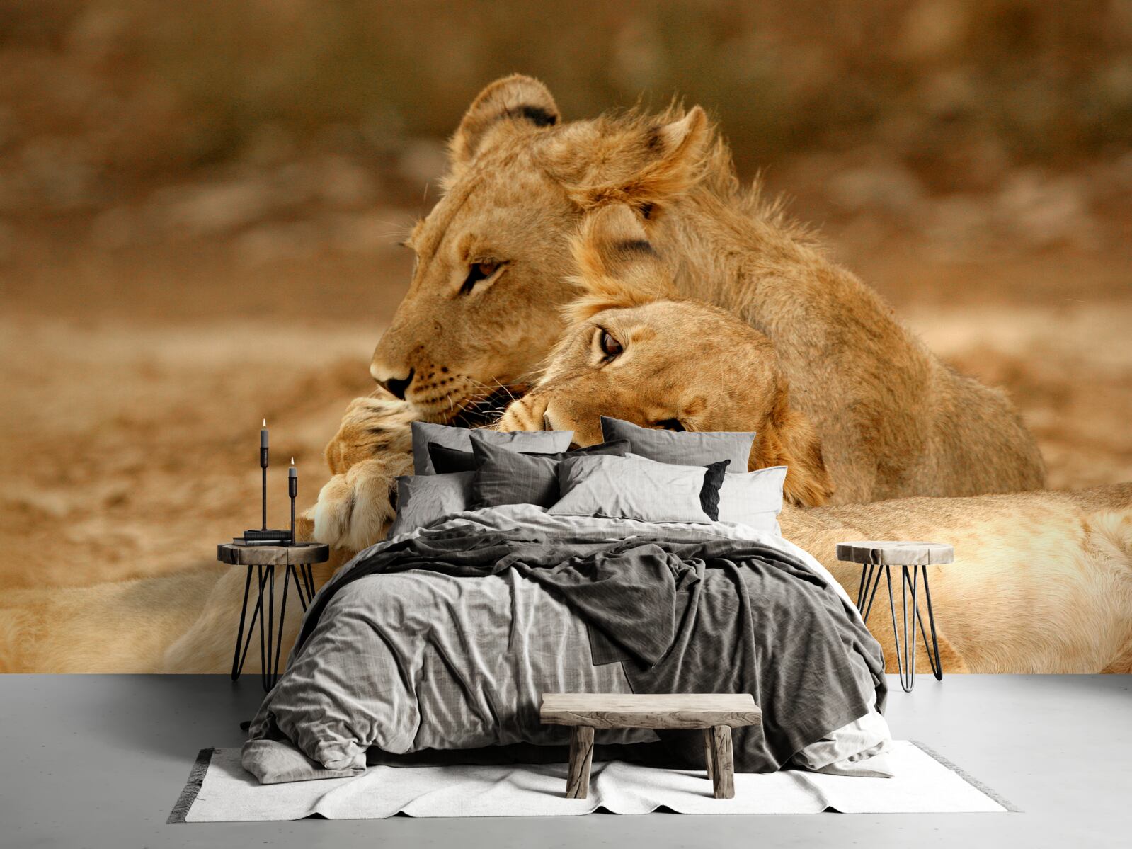 Fototapeta na piesočnatej hladine sa usadila rodinka levov