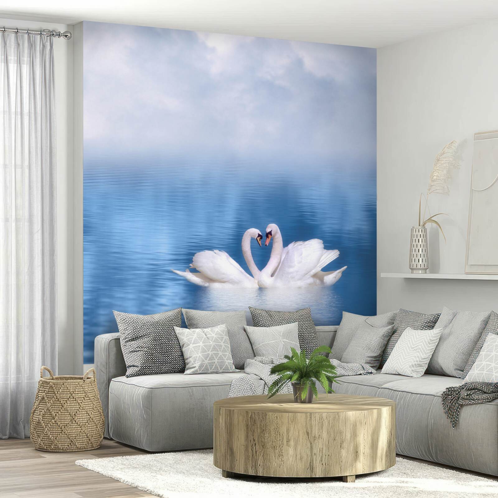 Fototapeta dve labute na pokojnej hladine