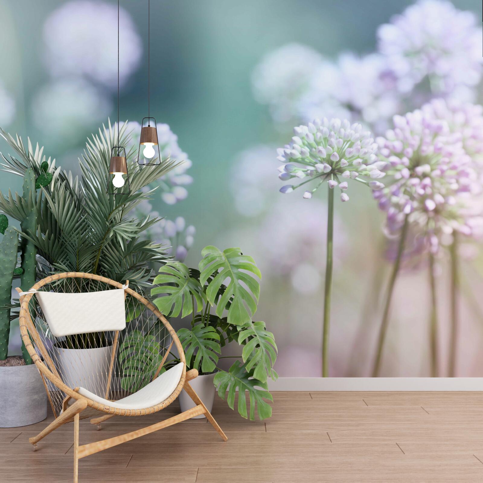 Fototapeta kvety svetlobielych šteniatok