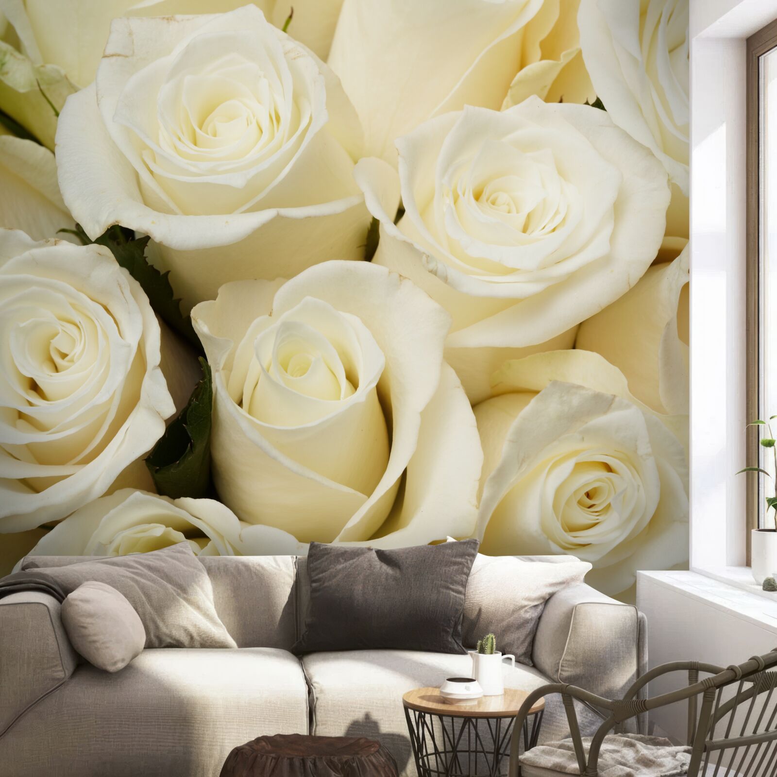 Fototapeta jemné a rafinované snehobiele púčiky ruží