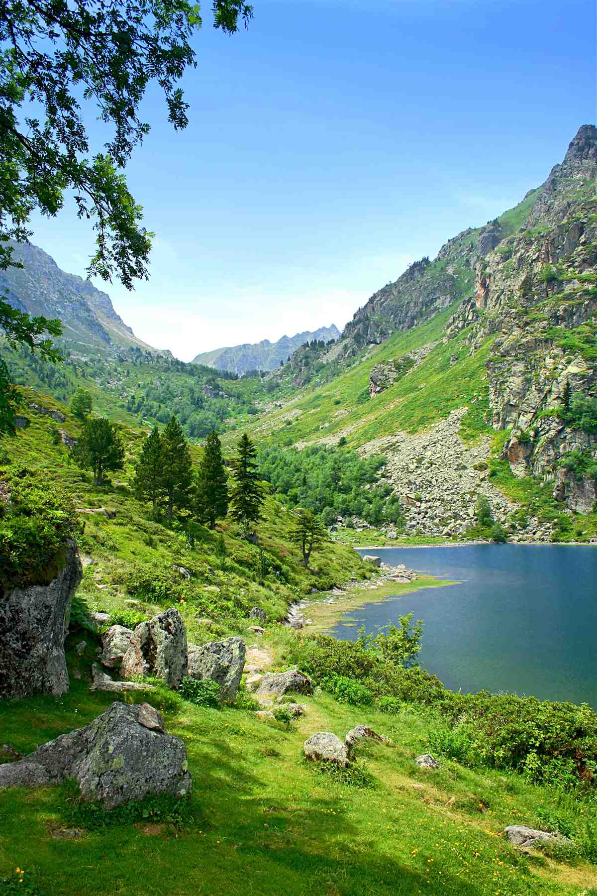 Fototapeta jazero obklopené horami a zelenou