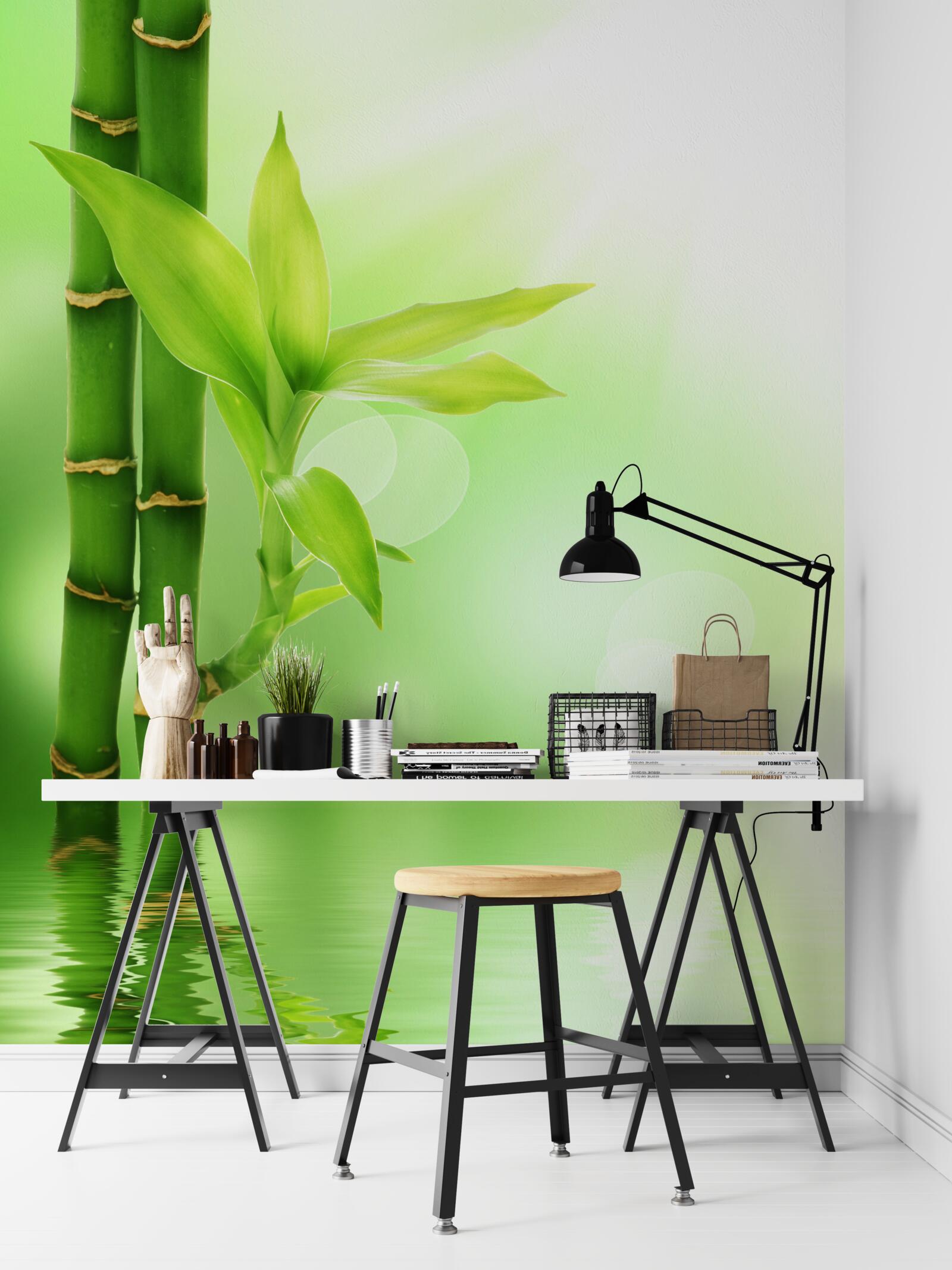 Fototapeta bamboo vá vetva s kvetmi na vodnej hladine