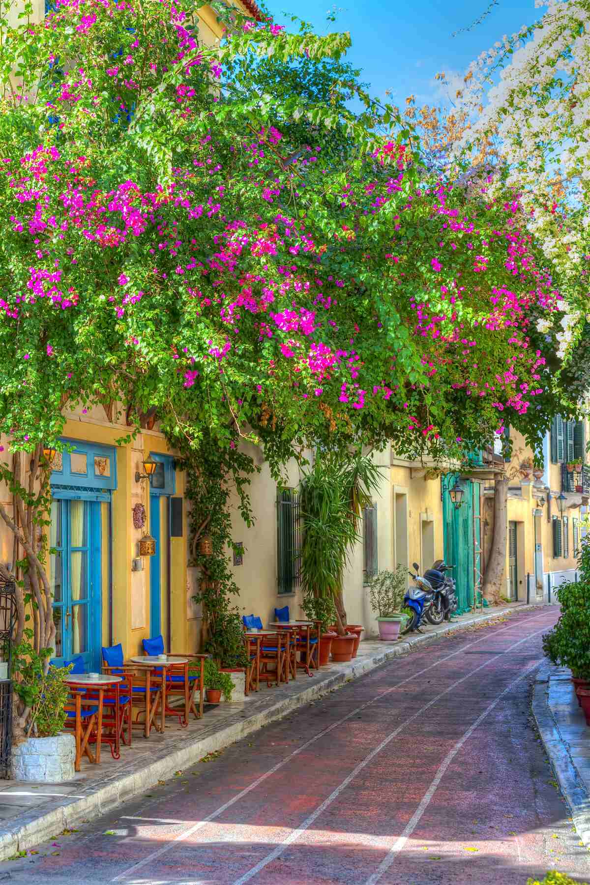 Fototapeta trepotať sa nad domami