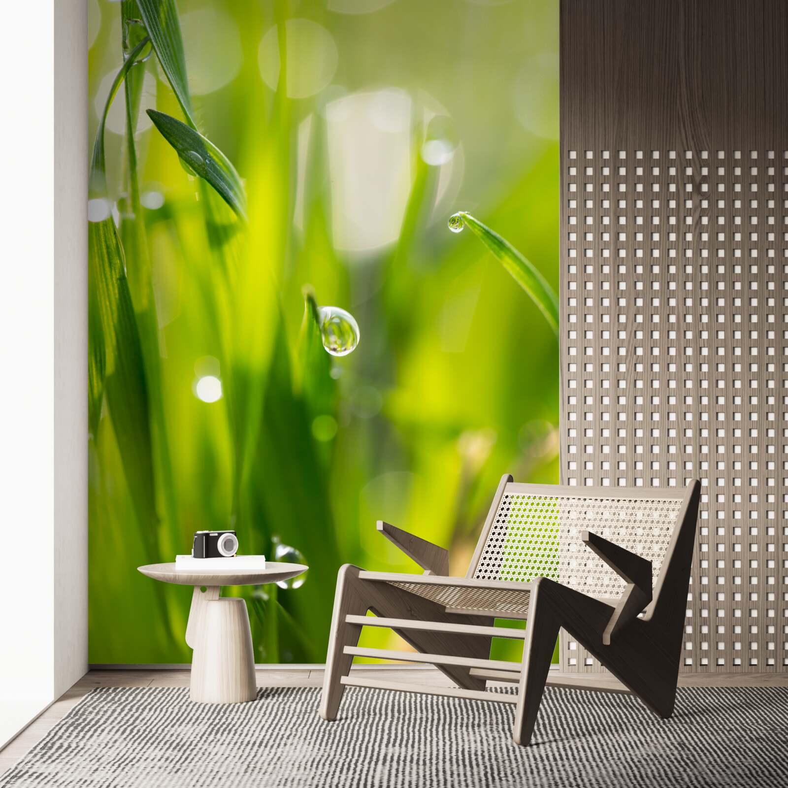 Fototapeta ranná rosa padla na trávu