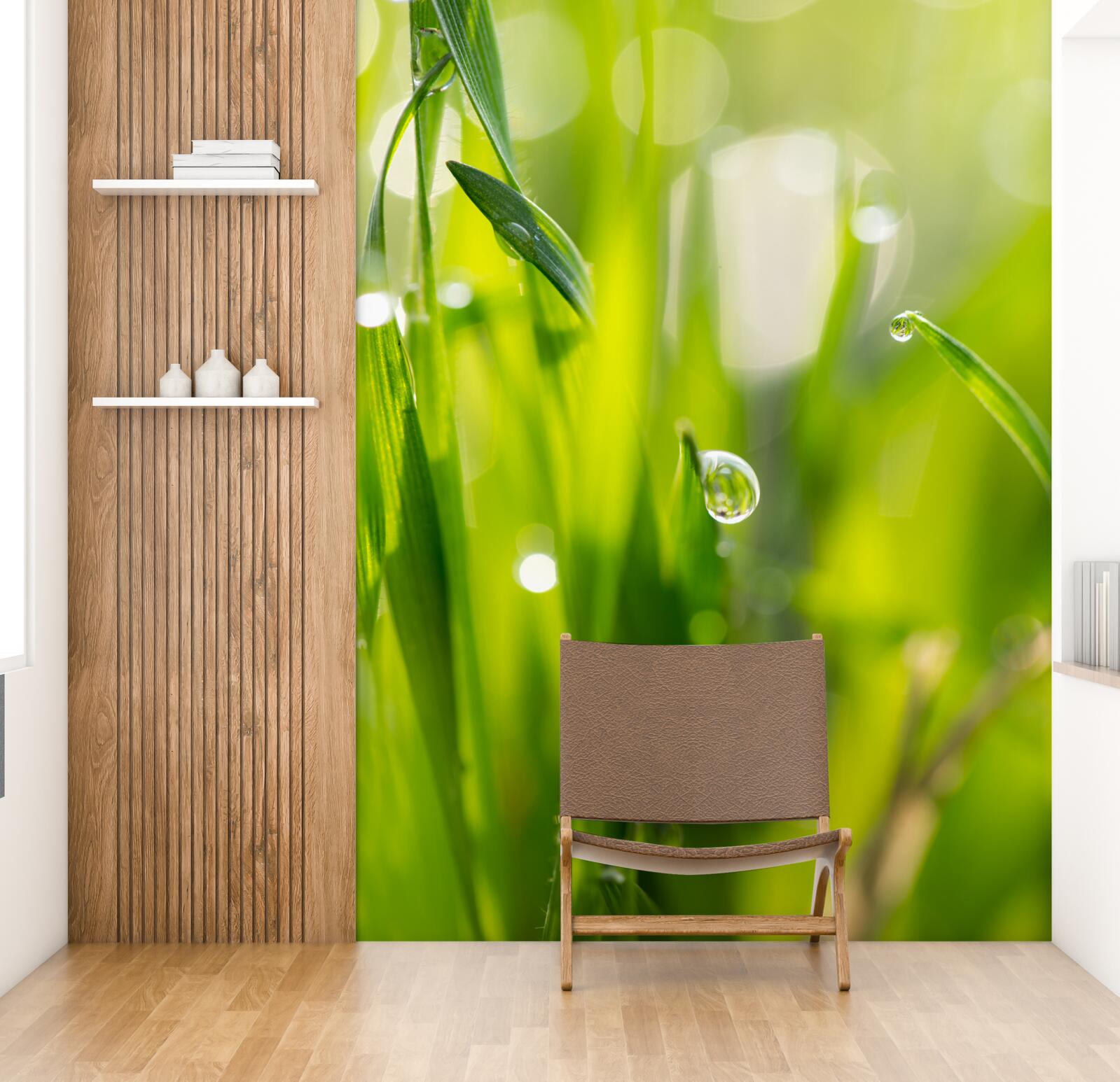 Fototapeta ranná rosa padla na trávu