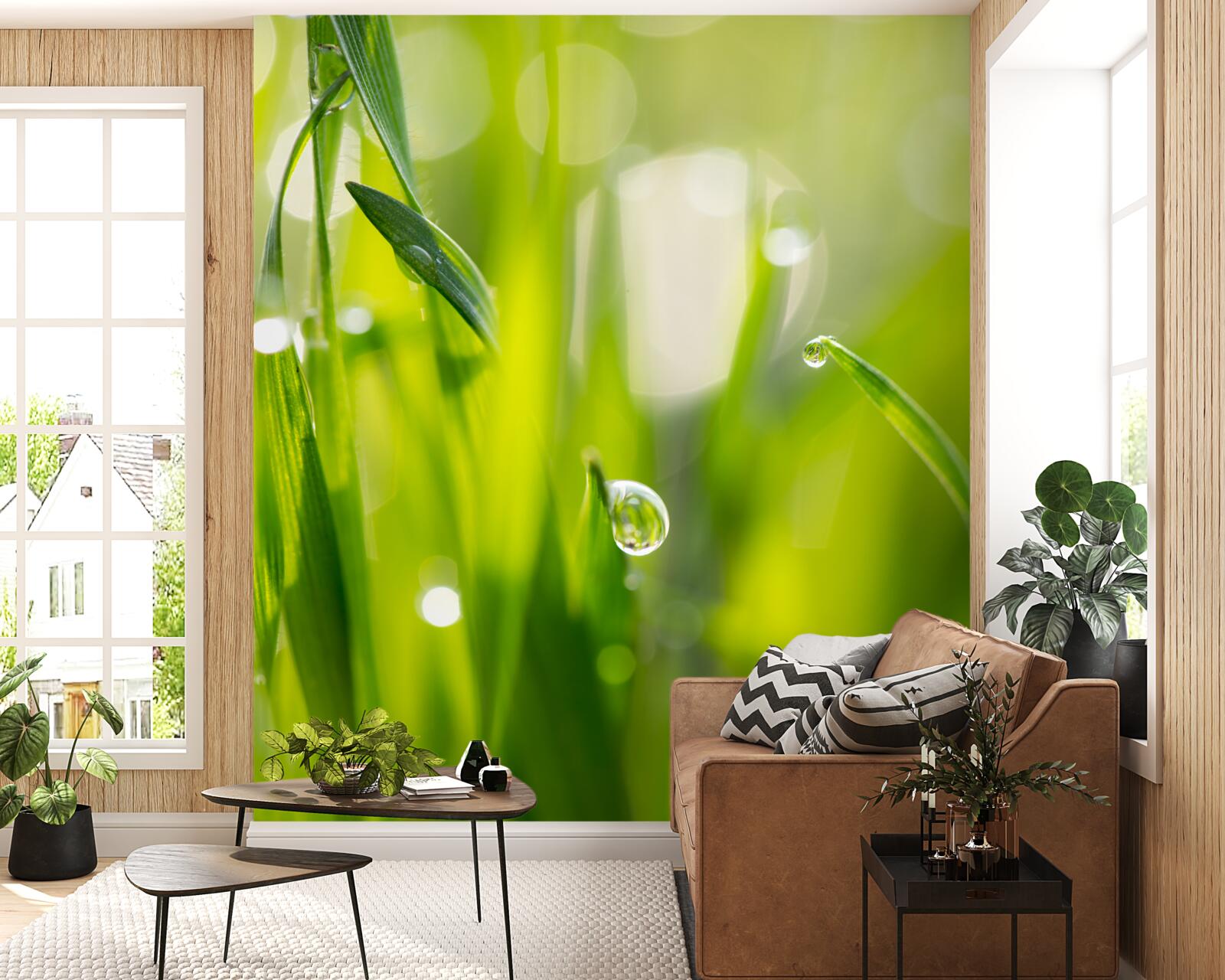 Fototapeta ranná rosa padla na trávu