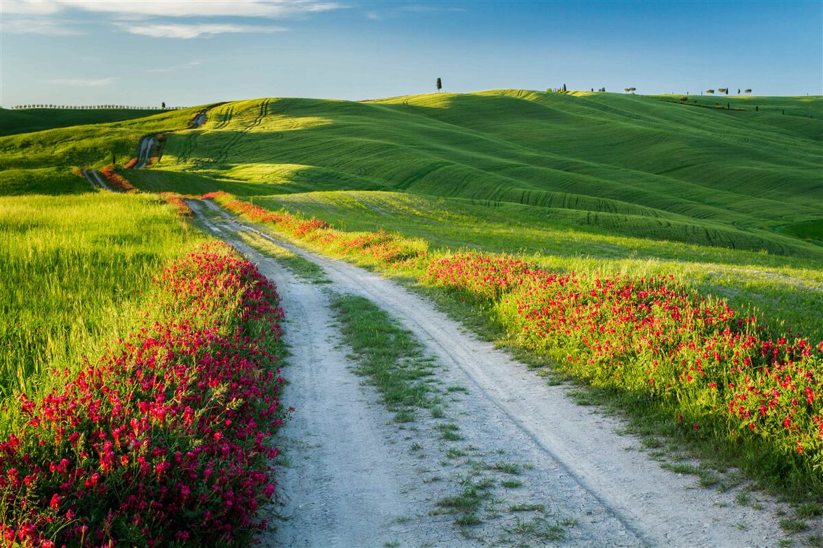 Fototapeta cesta v horách pokrytá zelenými polyamidmi
