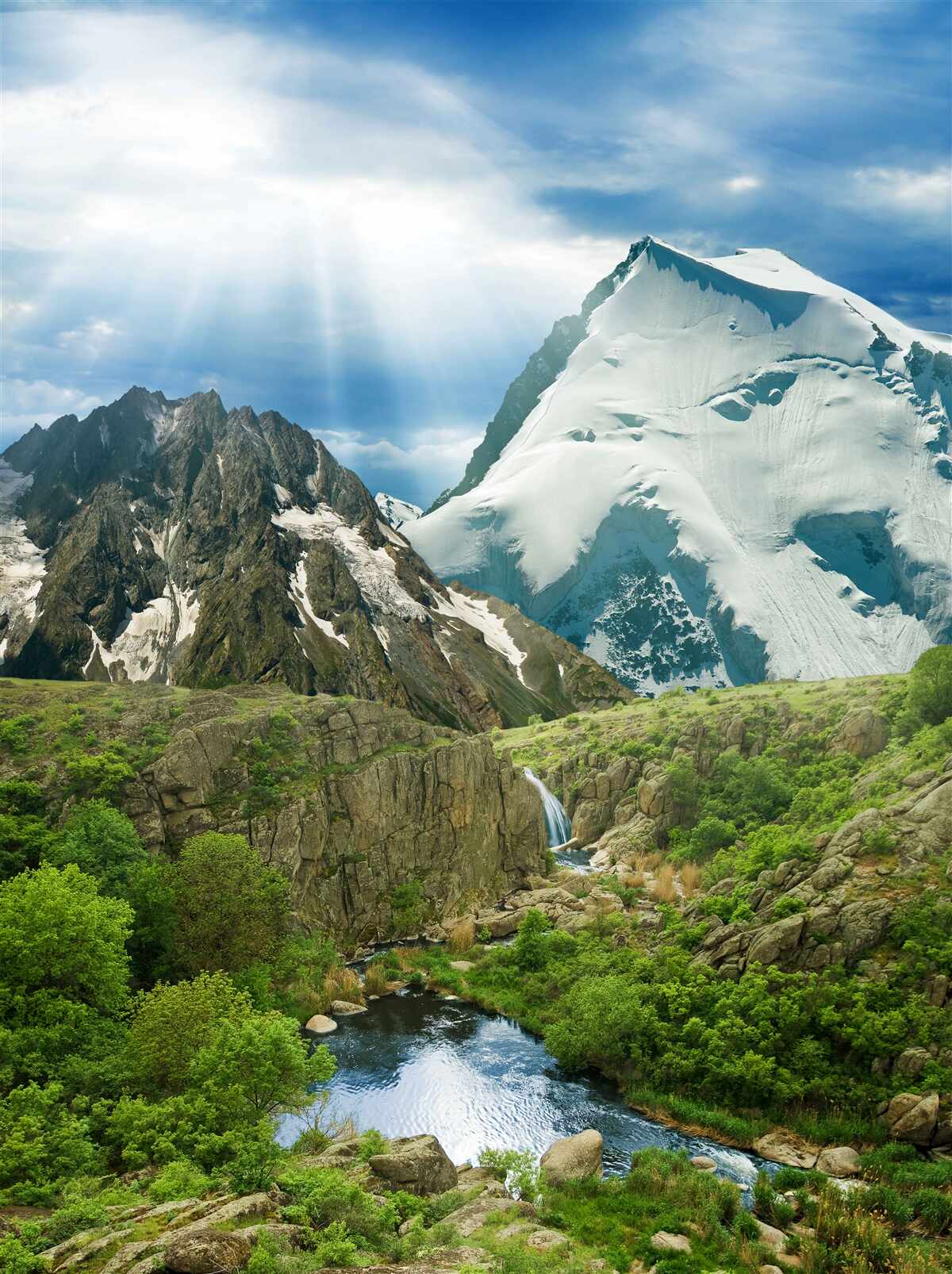 Fototapeta Svetlo slnečného svetla preniká cez hory v lese