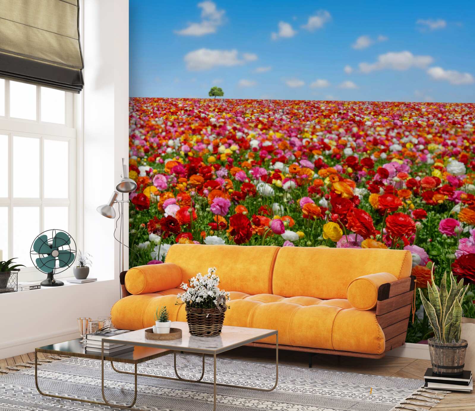 Fototapeta lúka posiata viac farebných kvetov