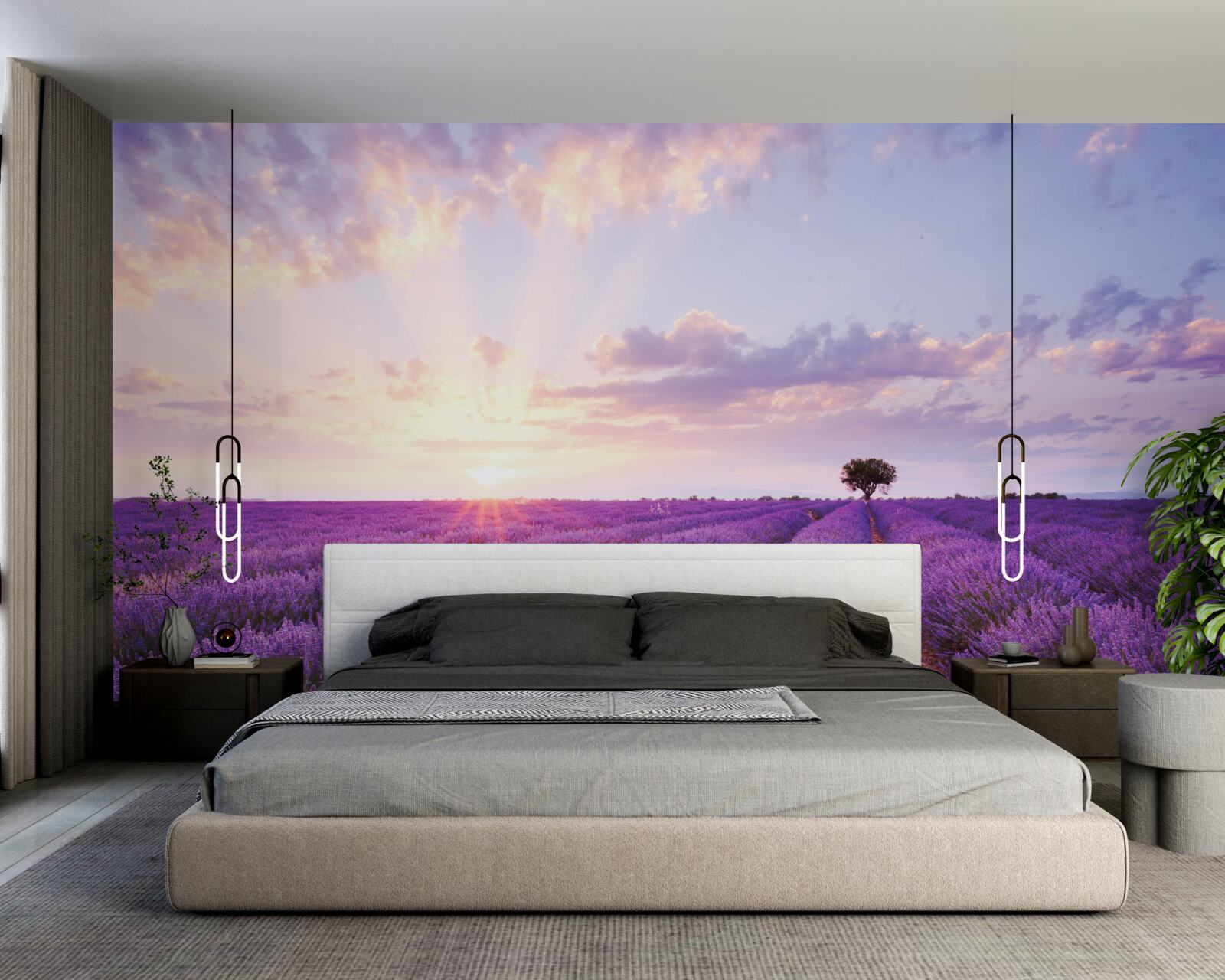 Fototapeta levanduľové pole plné arómy