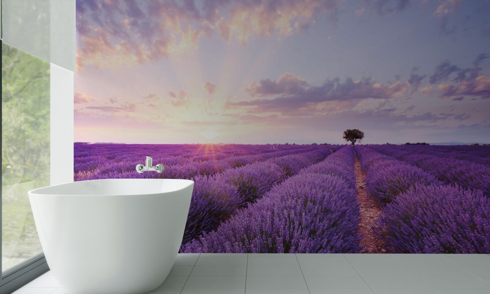 Fototapeta levanduľové pole plné arómy