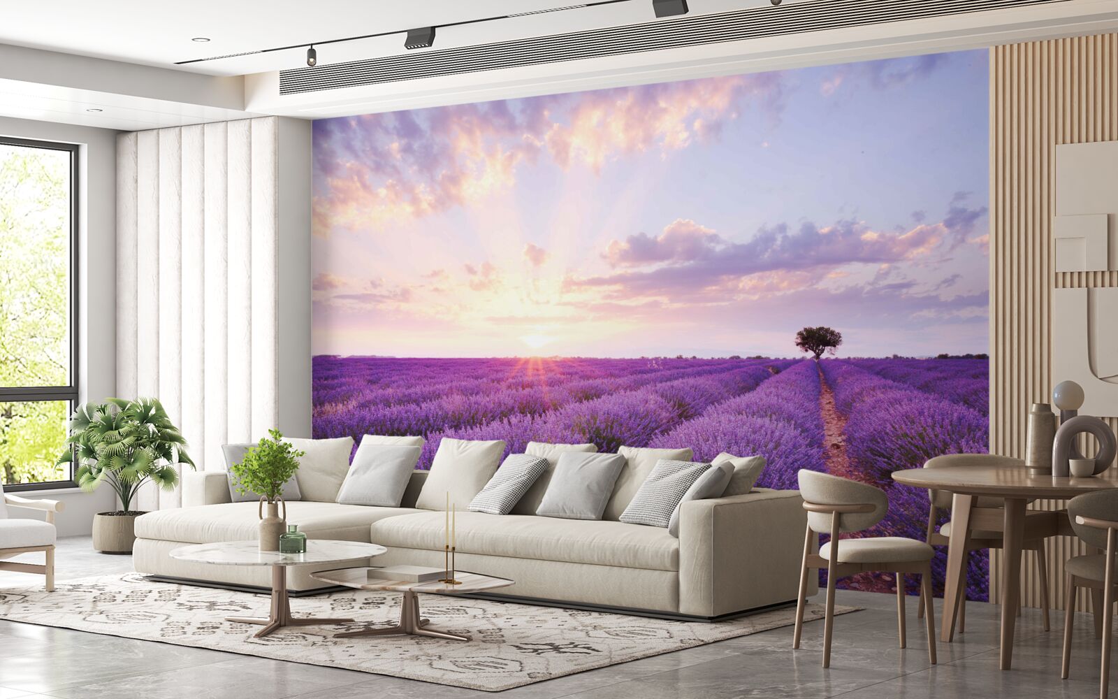 Fototapeta levanduľové pole plné arómy