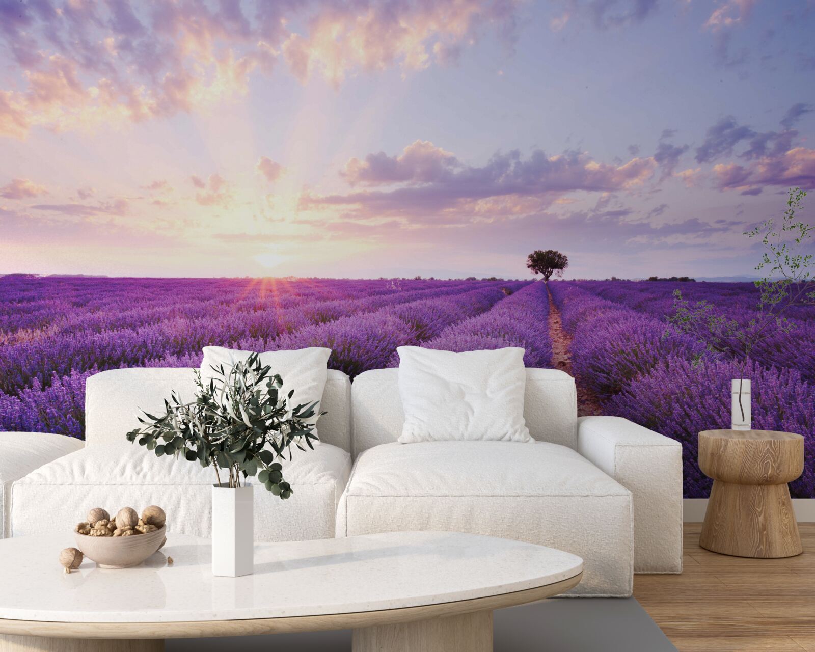 Fototapeta levanduľové pole plné arómy