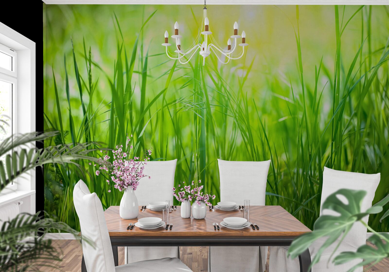 Fototapeta ranná rosa padla na svetlo slnečného svetla