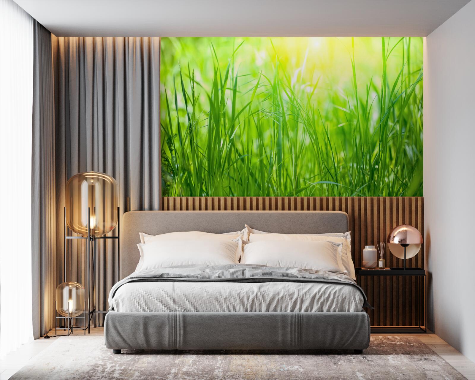 Fototapeta ranná rosa padla na svetlo slnečného svetla