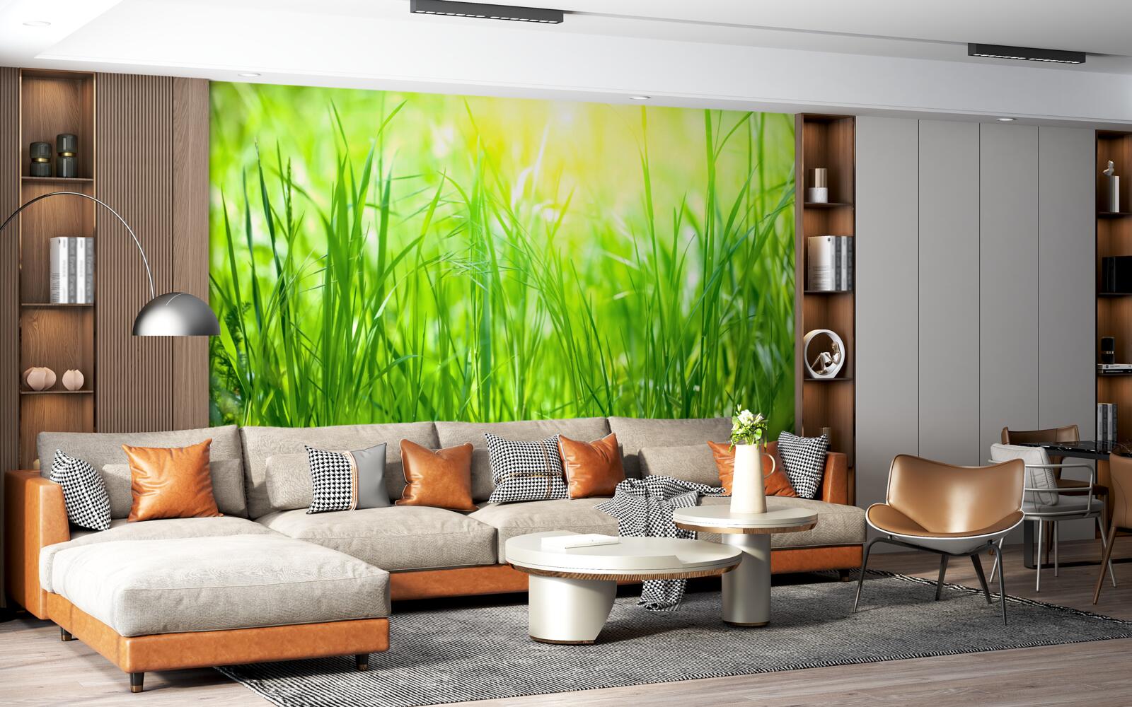 Fototapeta ranná rosa padla na svetlo slnečného svetla