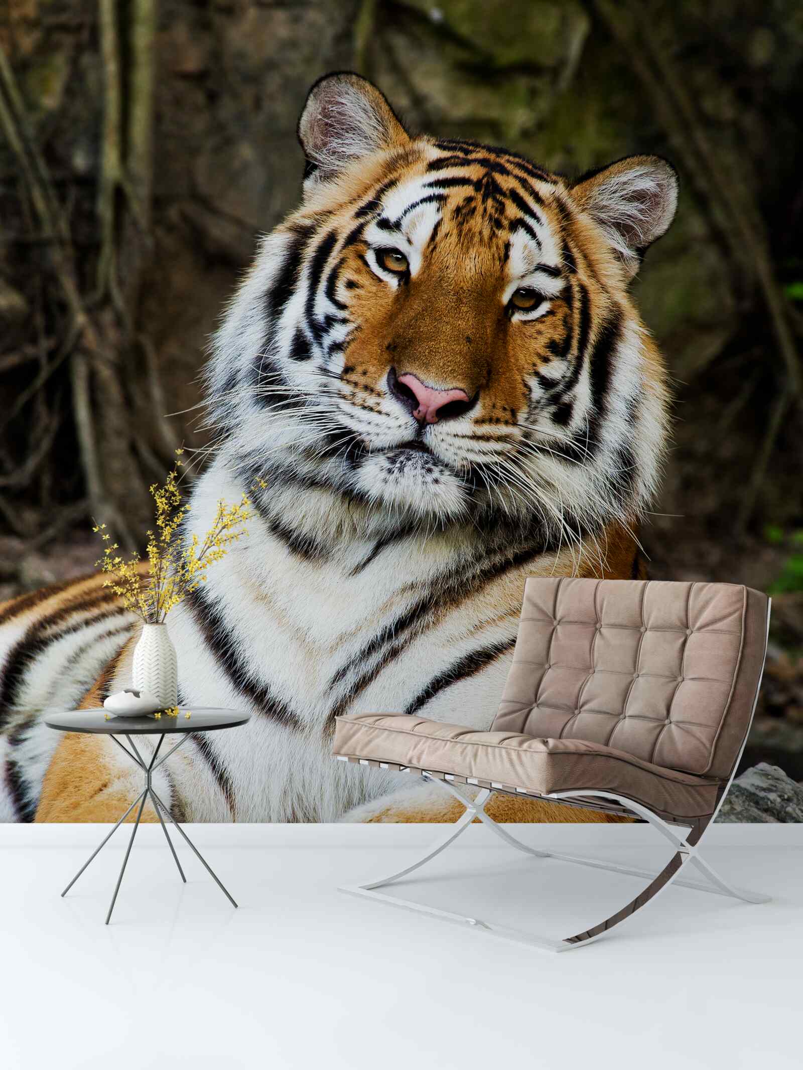 Fototapeta veľký tiger na dovolenke