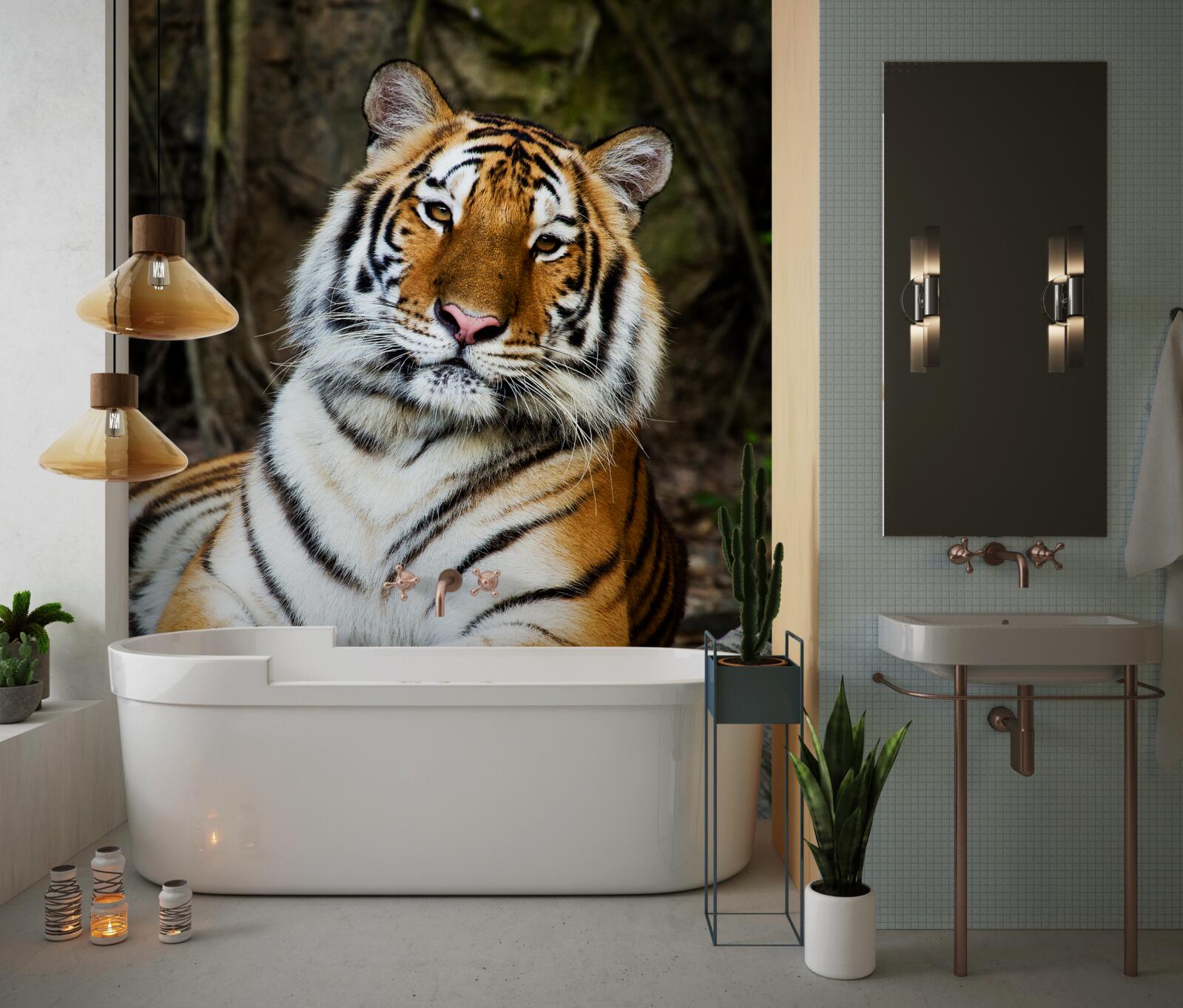 Fototapeta veľký tiger na dovolenke