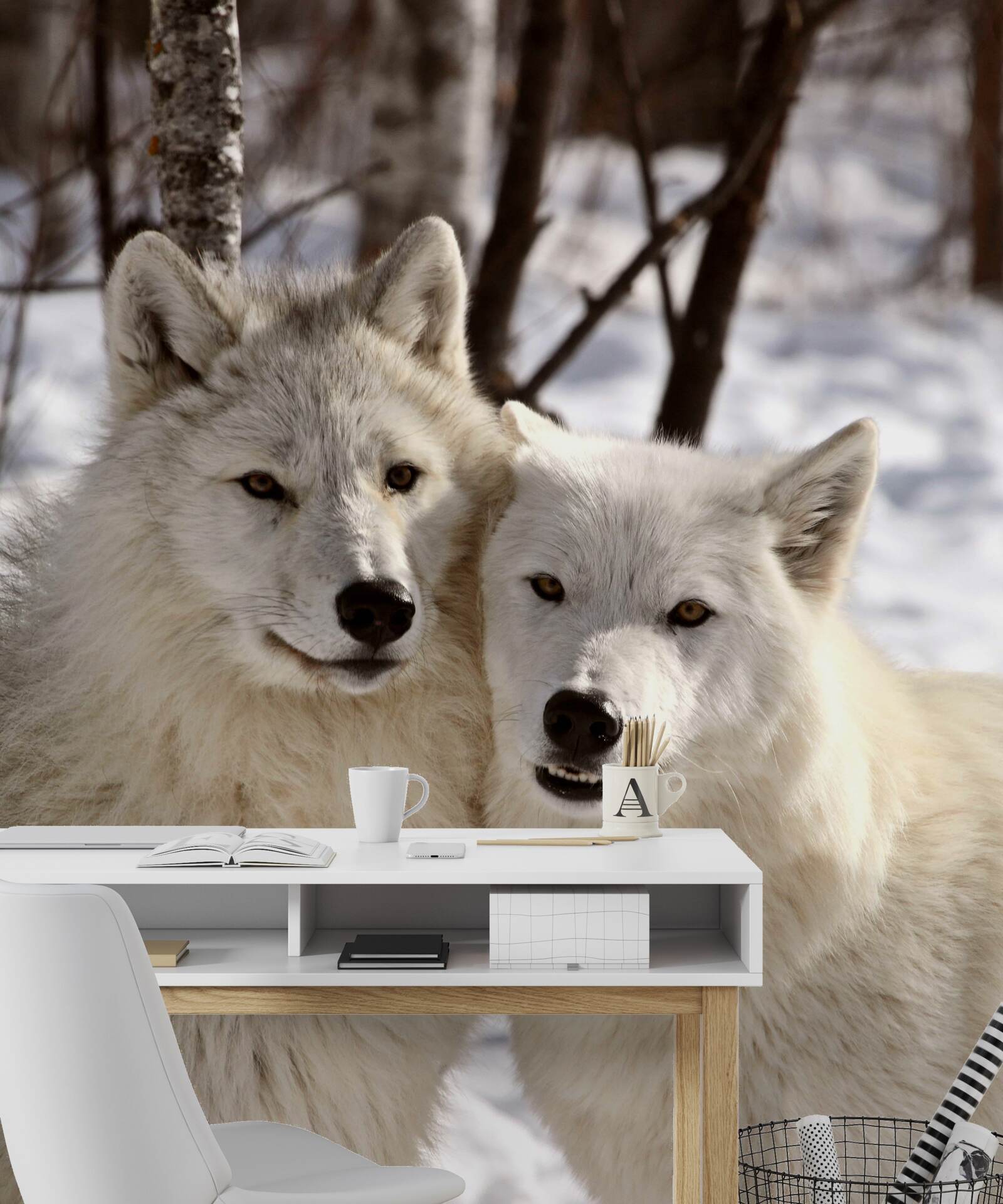 Fototapeta svorka bielych vlkov v zasneženom lese