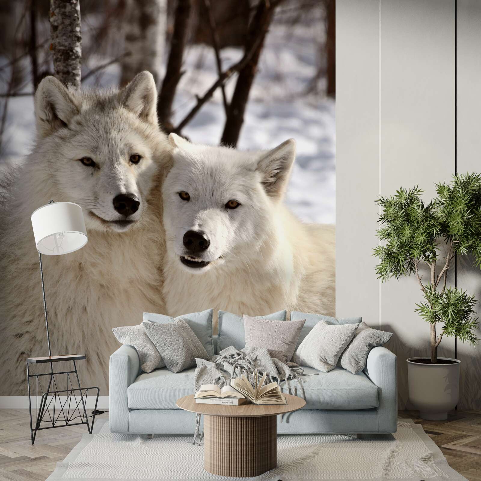 Fototapeta svorka bielych vlkov v zasneženom lese