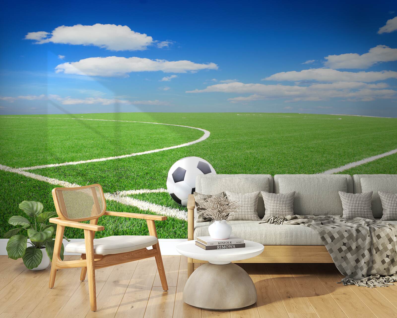 Fototapeta lopta je v rohu ihriska