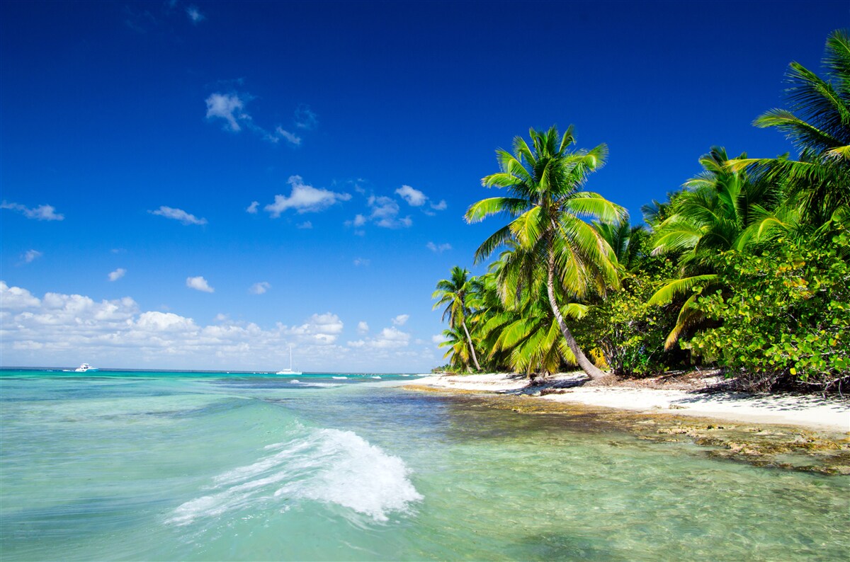 Fototapeta morské vlny na tropickom pobreží