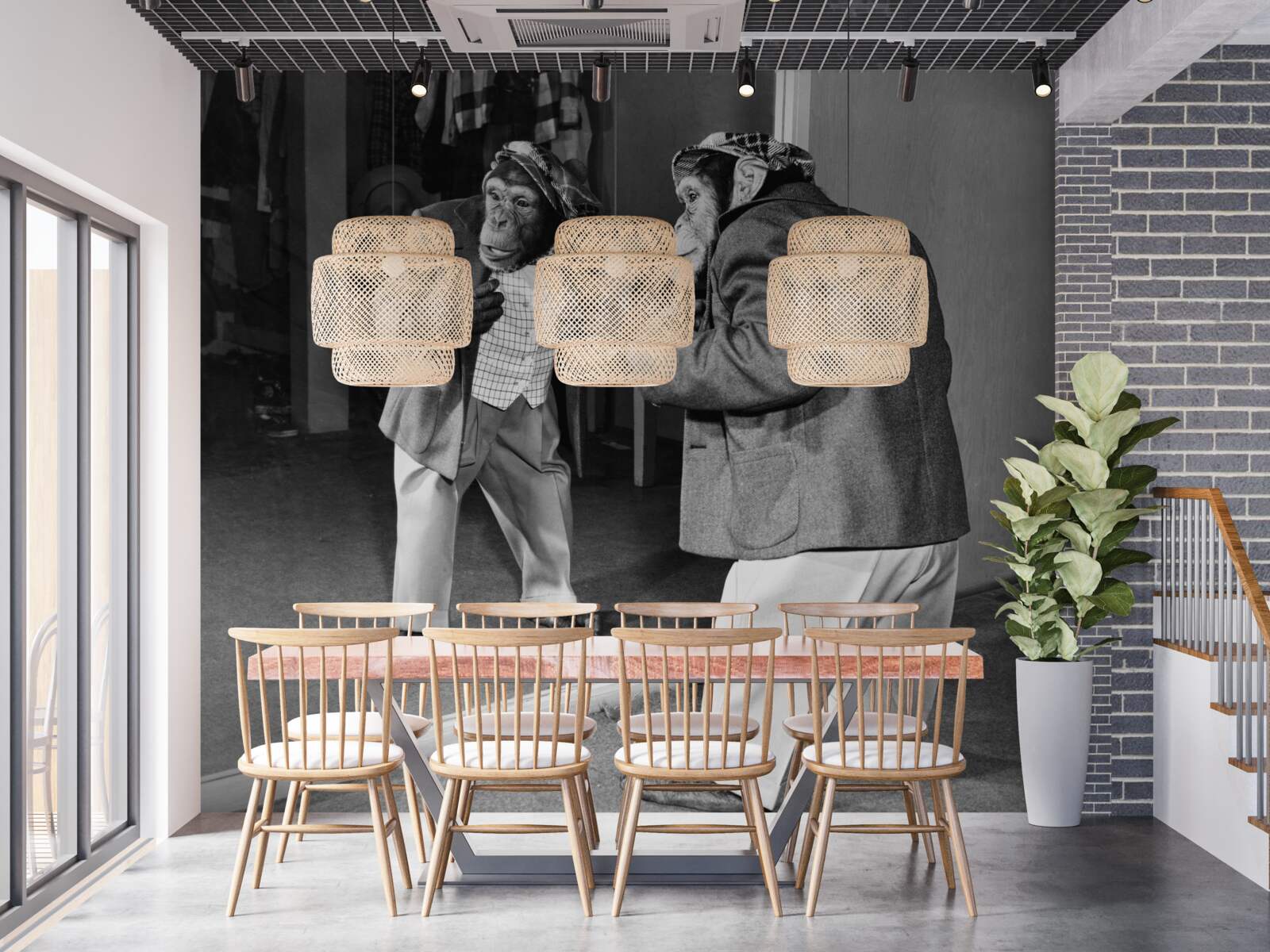 Fototapeta opice v šatách pri pohľade k prameňu