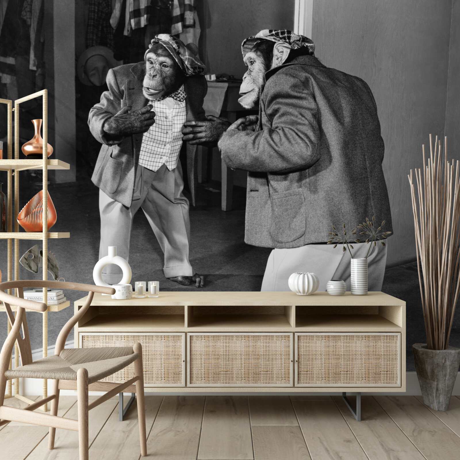 Fototapeta opice v šatách pri pohľade k prameňu