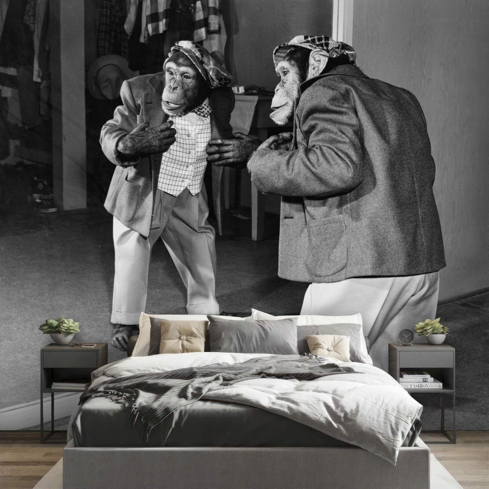 Fototapeta opice v šatách pri pohľade k prameňu