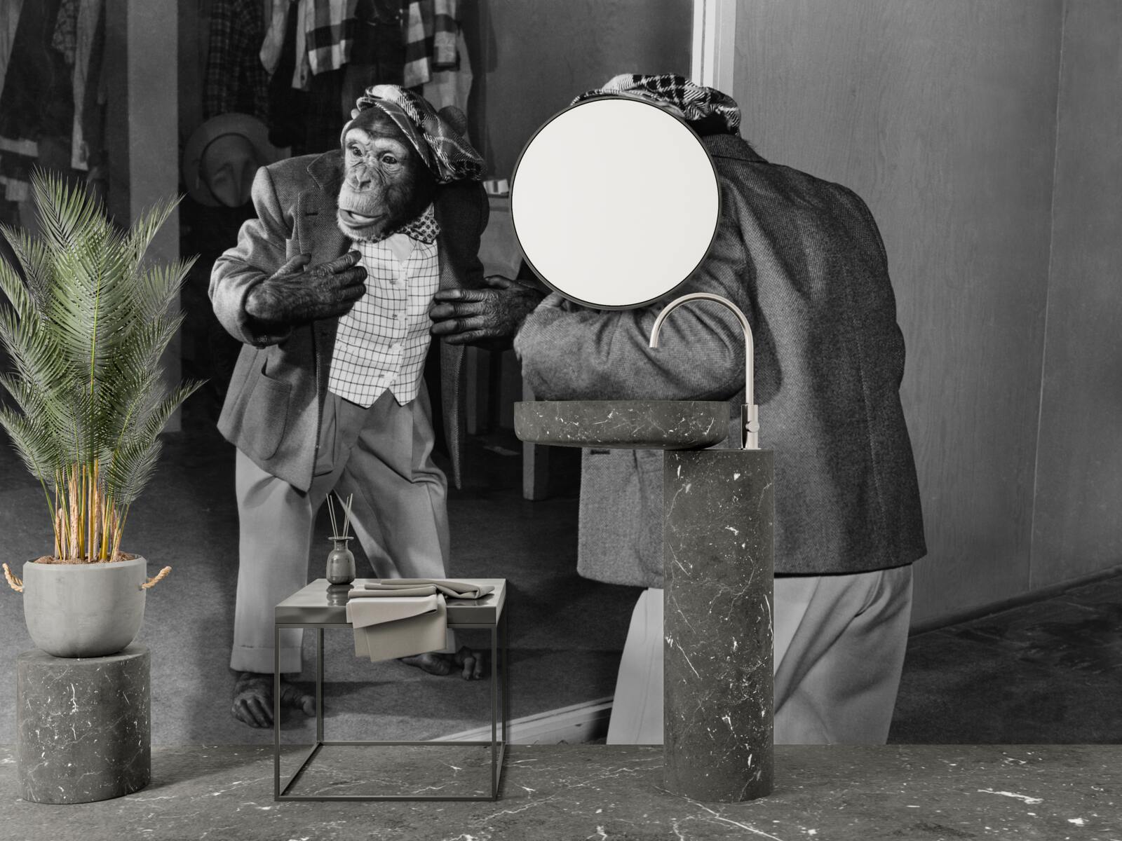 Fototapeta opice v šatách pri pohľade k prameňu