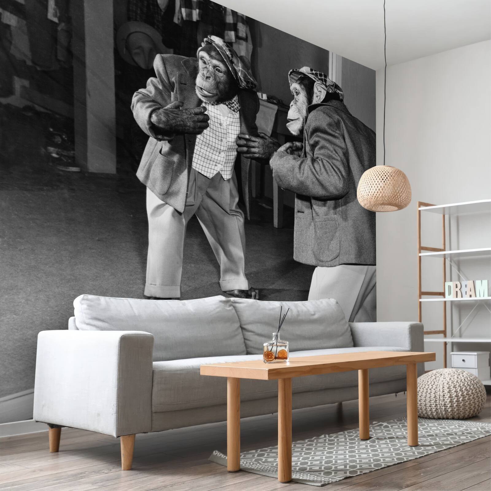 Fototapeta opice v šatách pri pohľade k prameňu