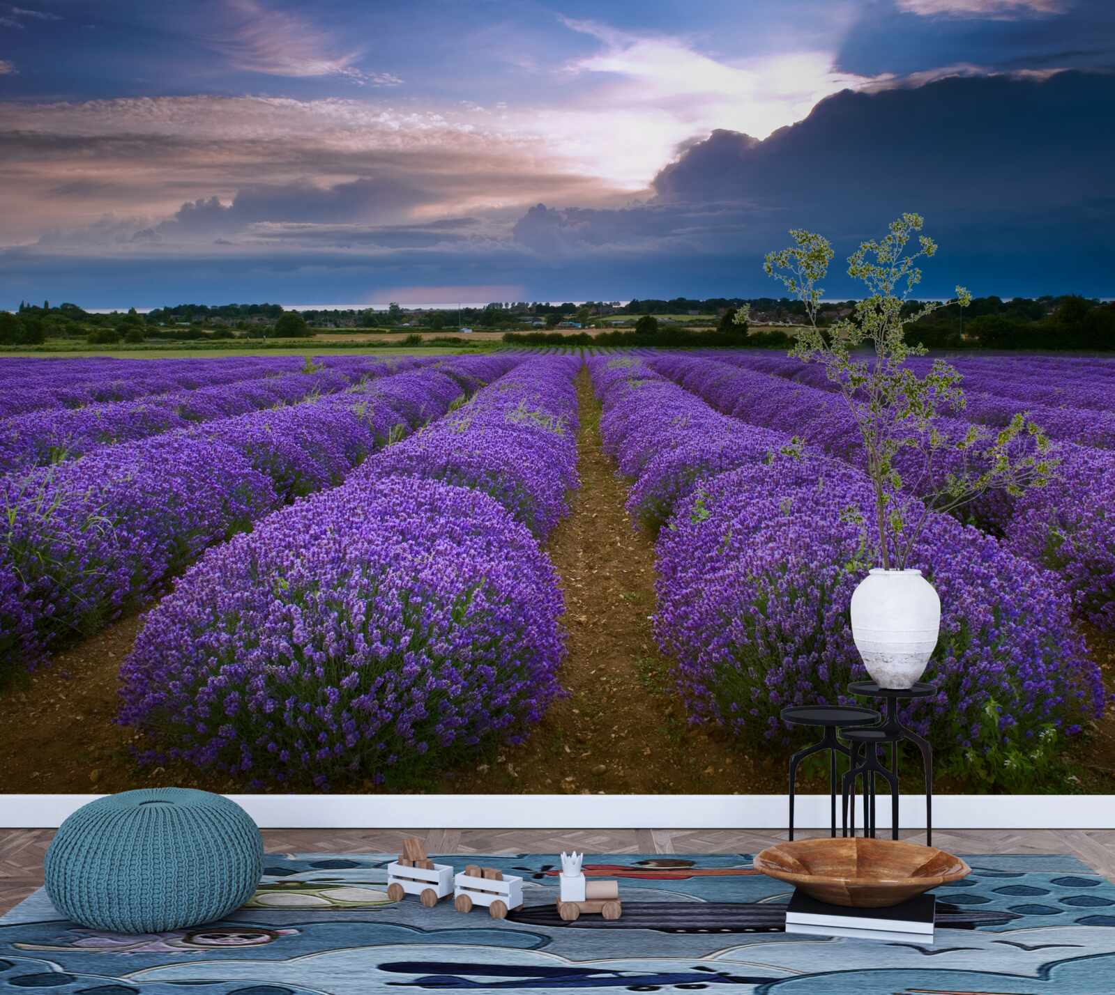 Fototapeta na poli rastú voňavé kríky levandule