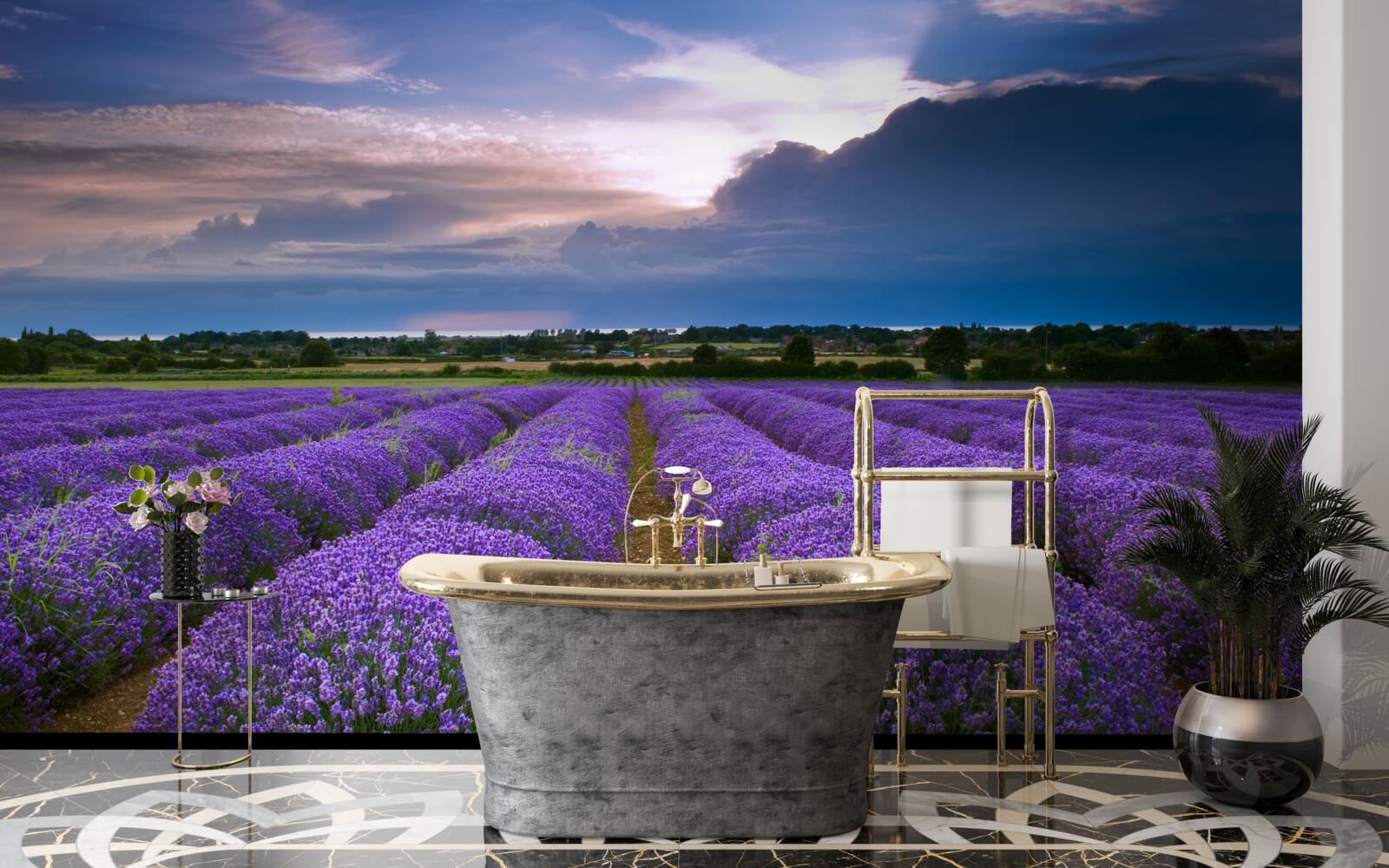 Fototapeta na poli rastú voňavé kríky levandule