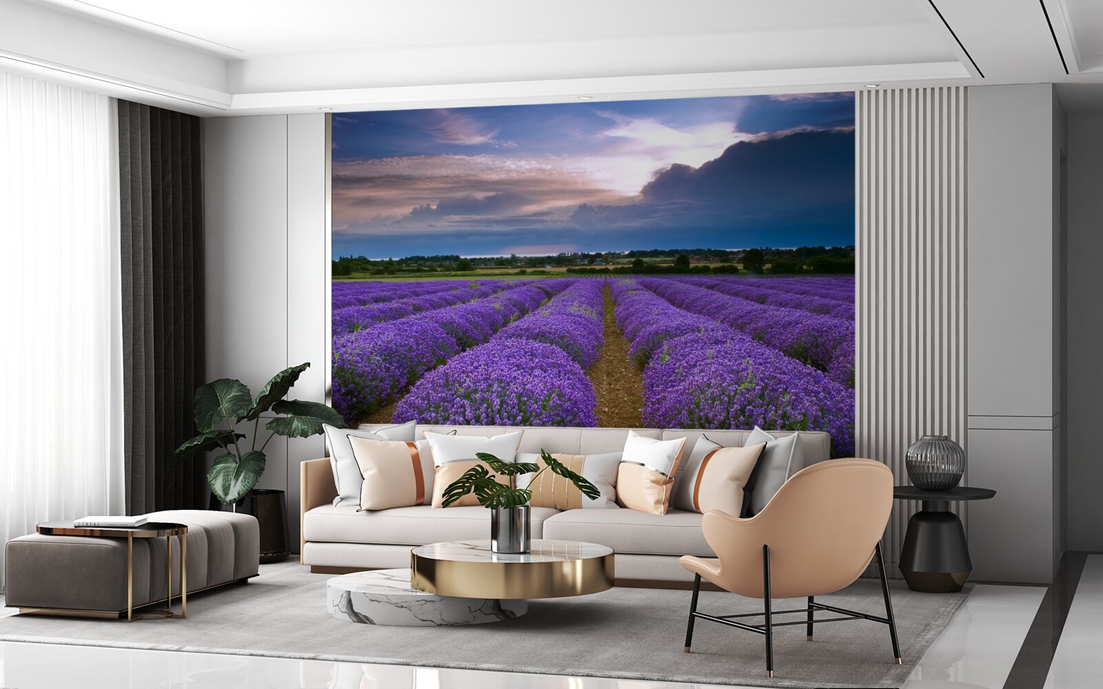 Fototapeta na poli rastú voňavé kríky levandule