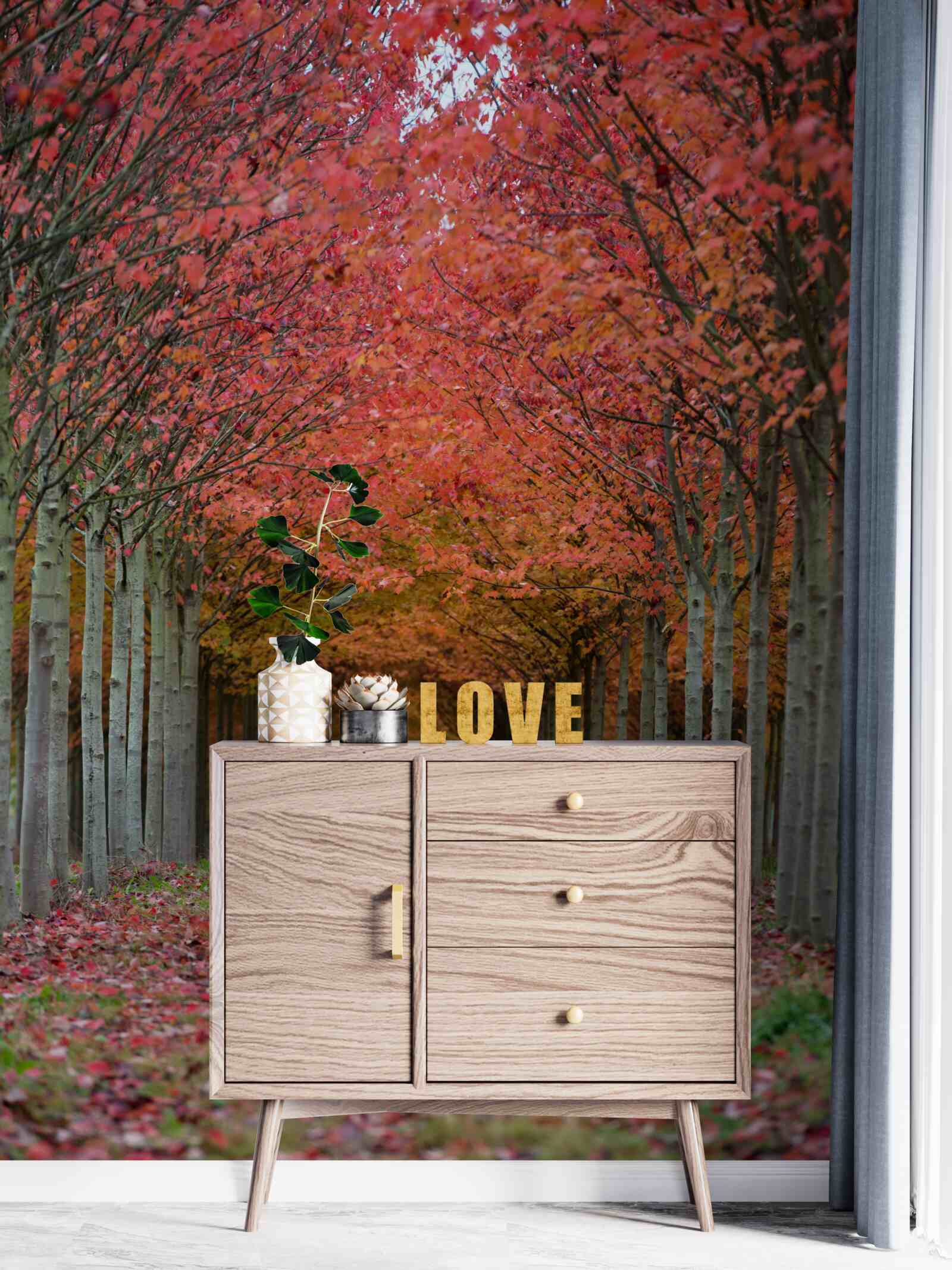 Fototapeta oblúk čerešní