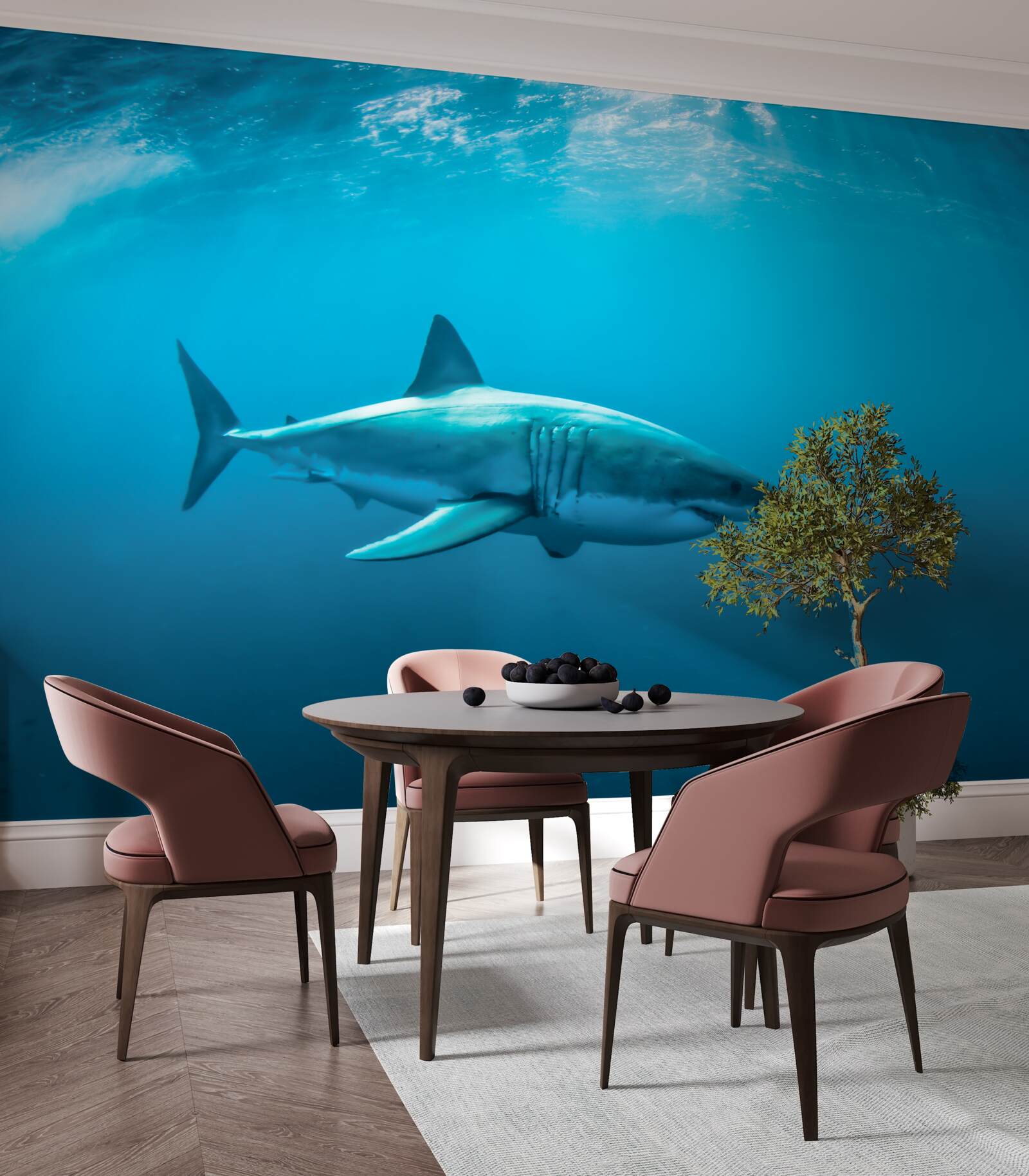 Fototapeta žralok hladný v hlbokom mori