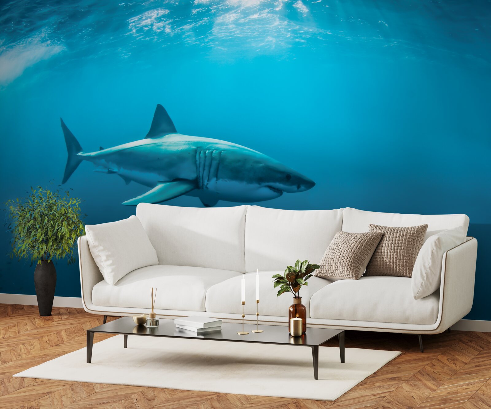 Fototapeta žralok hladný v hlbokom mori