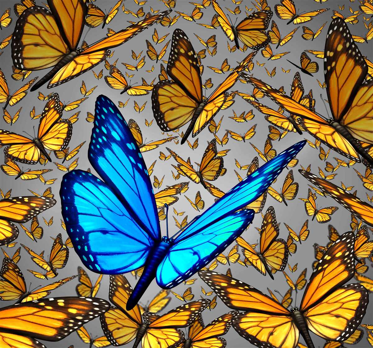 Fototapeta modrý motýľ svetlý vyčnieva zo žltých