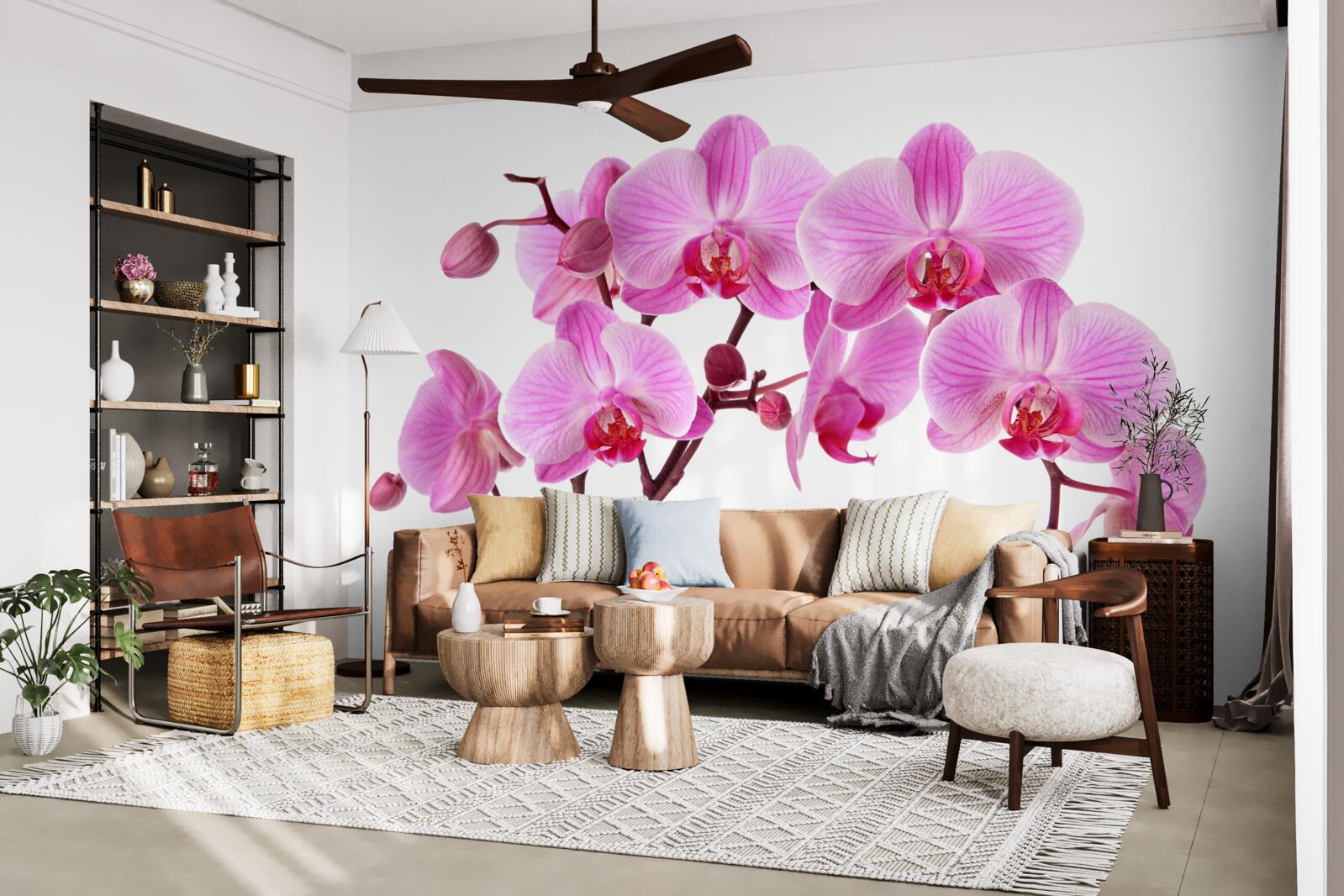 Fototapeta ružová ľalia na konári na bielom pozadí