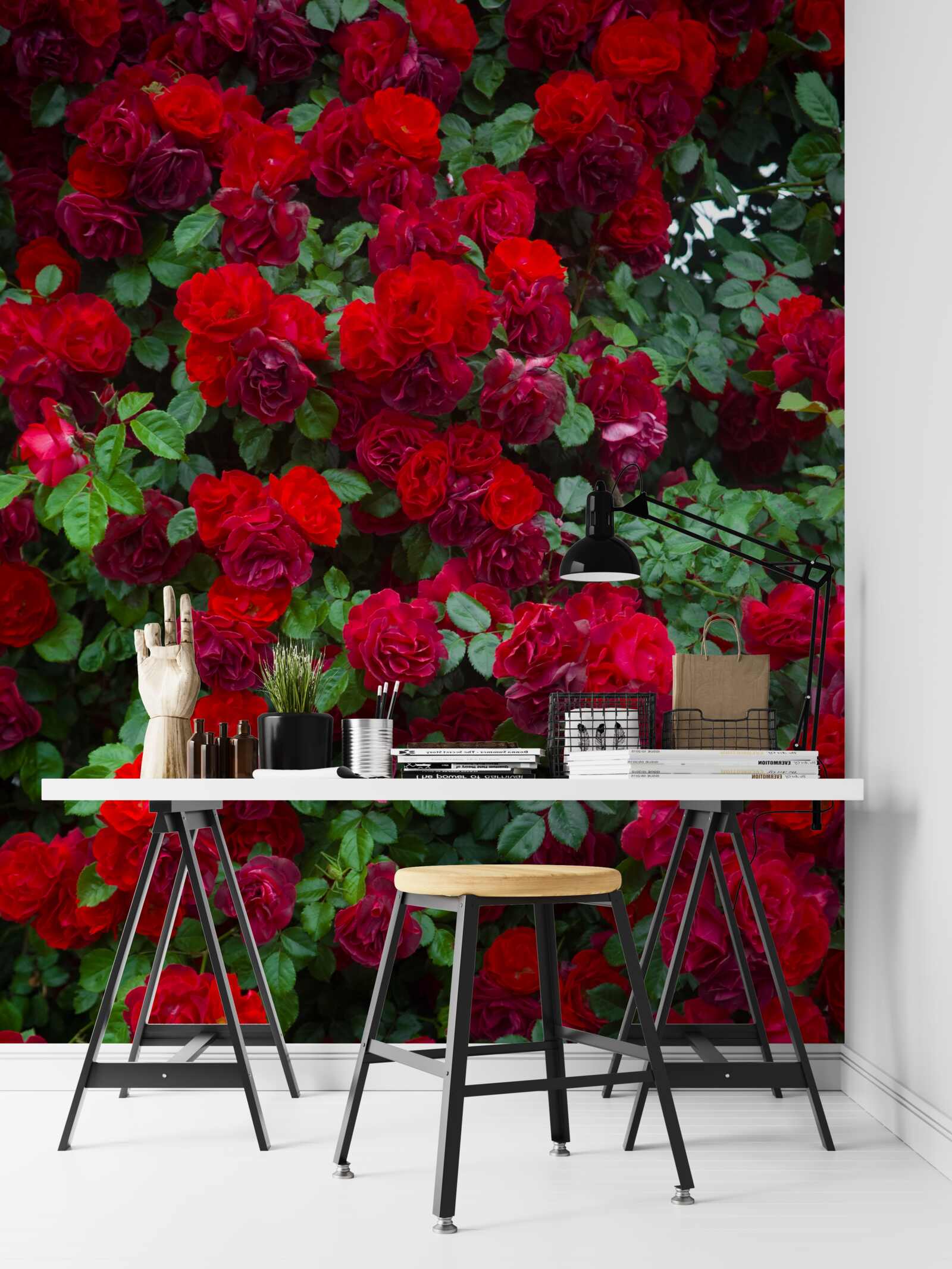 Fototapeta ker šarlátova ruže