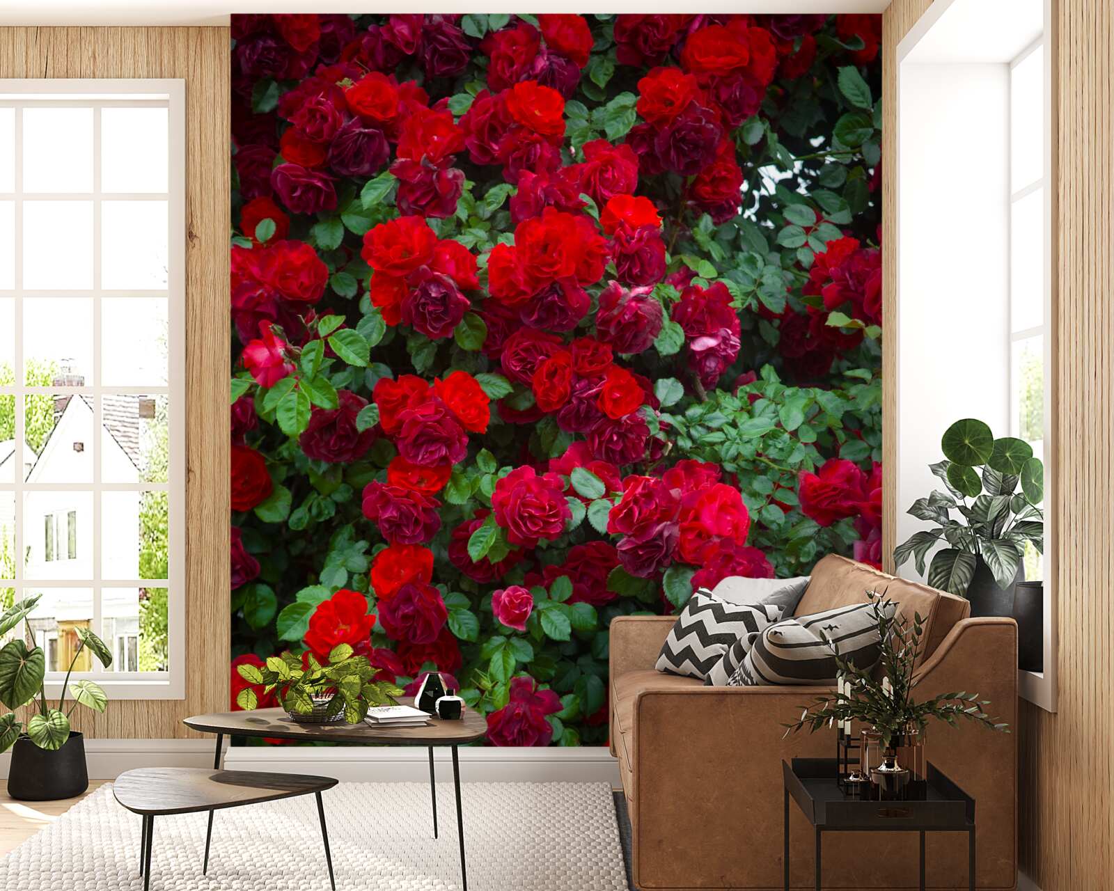 Fototapeta ker šarlátova ruže