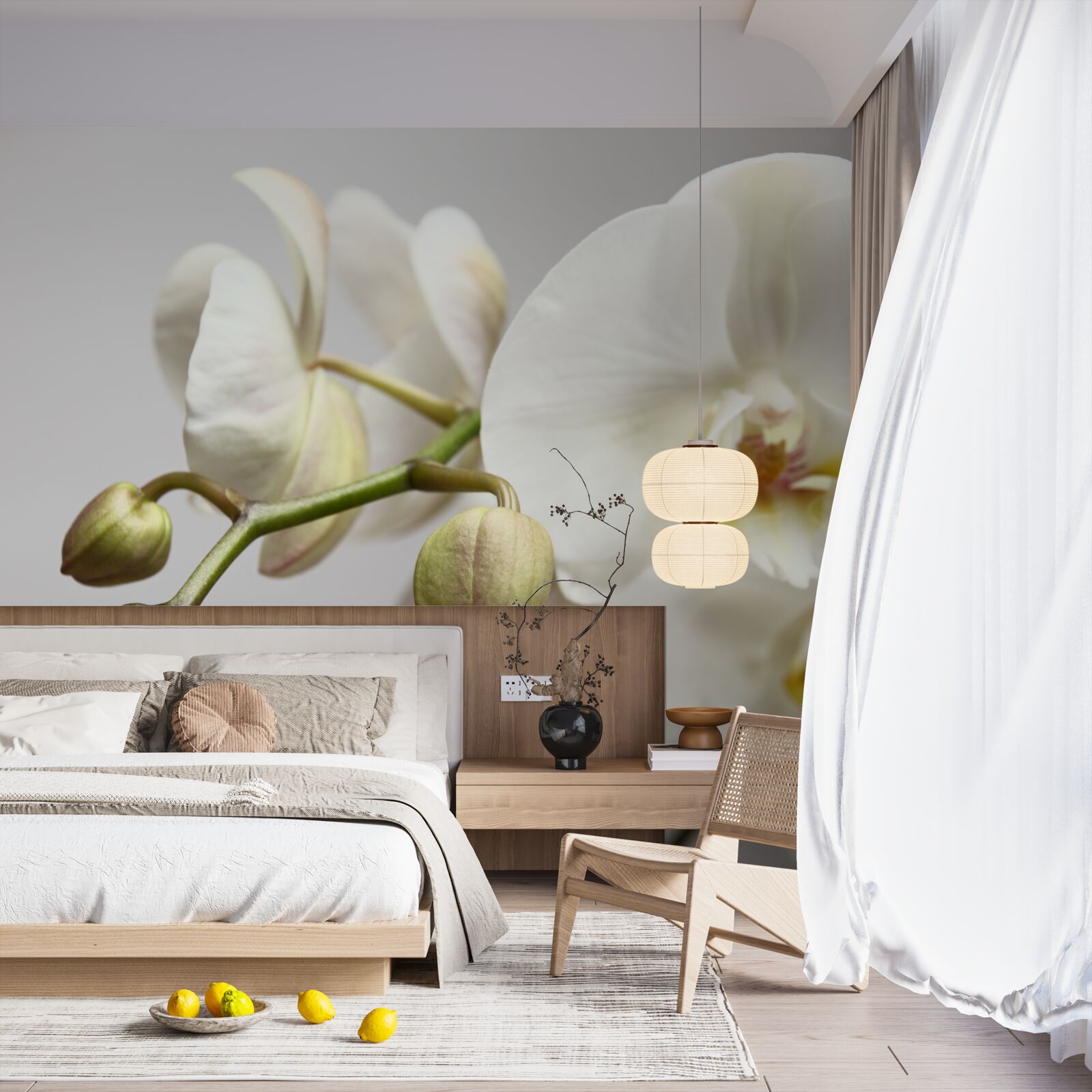 Fototapeta konár bielej orchidey s rozkvitnutými kvetmi a nevyrastenými púčikmi