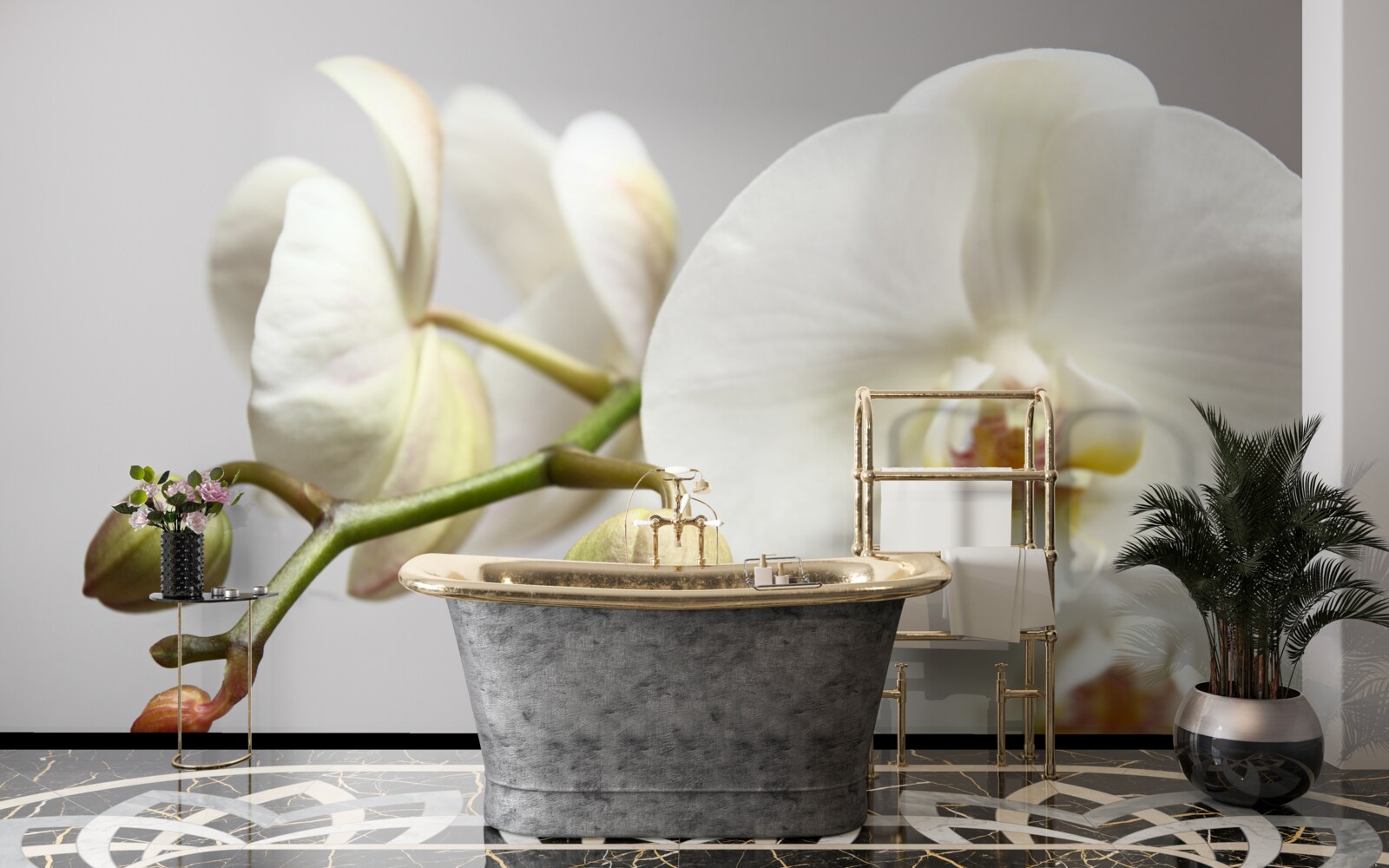 Fototapeta konár bielej orchidey s rozkvitnutými kvetmi a nevyrastenými púčikmi