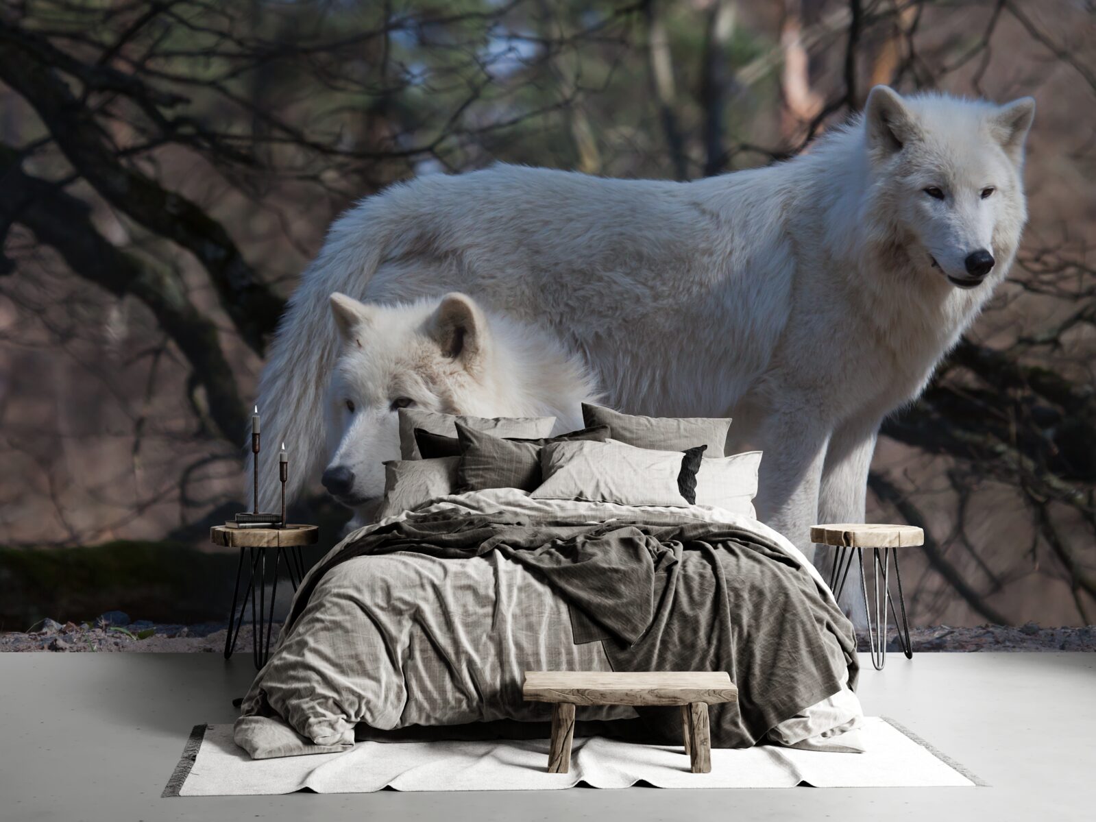 Fototapeta vlci sa zbeleli v lese pokrytý opadaným lístím