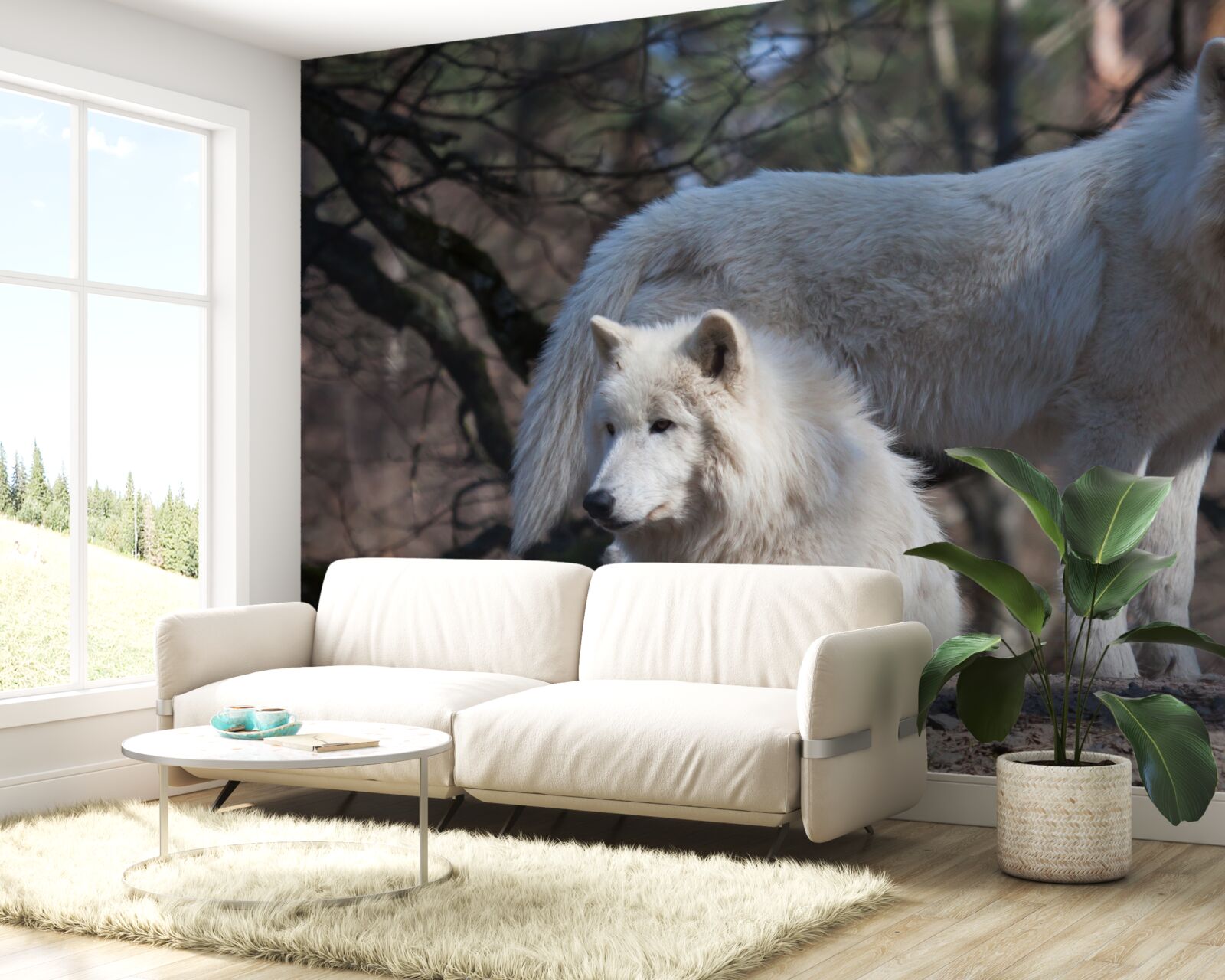 Fototapeta vlci sa zbeleli v lese pokrytý opadaným lístím