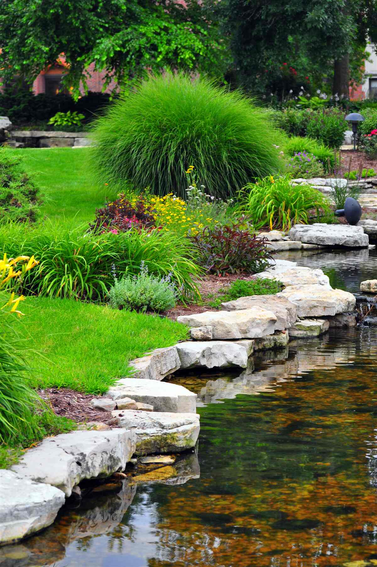 Fototapeta kvety v blízkosti jazierka v záhrade